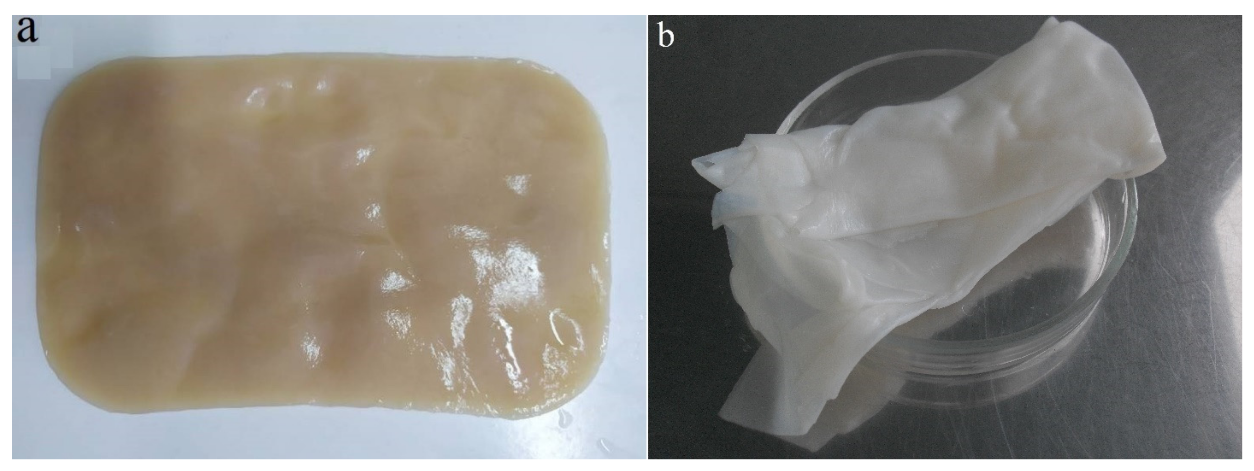 Polymers 13 01422 g001 Polymers 13 01422 g001