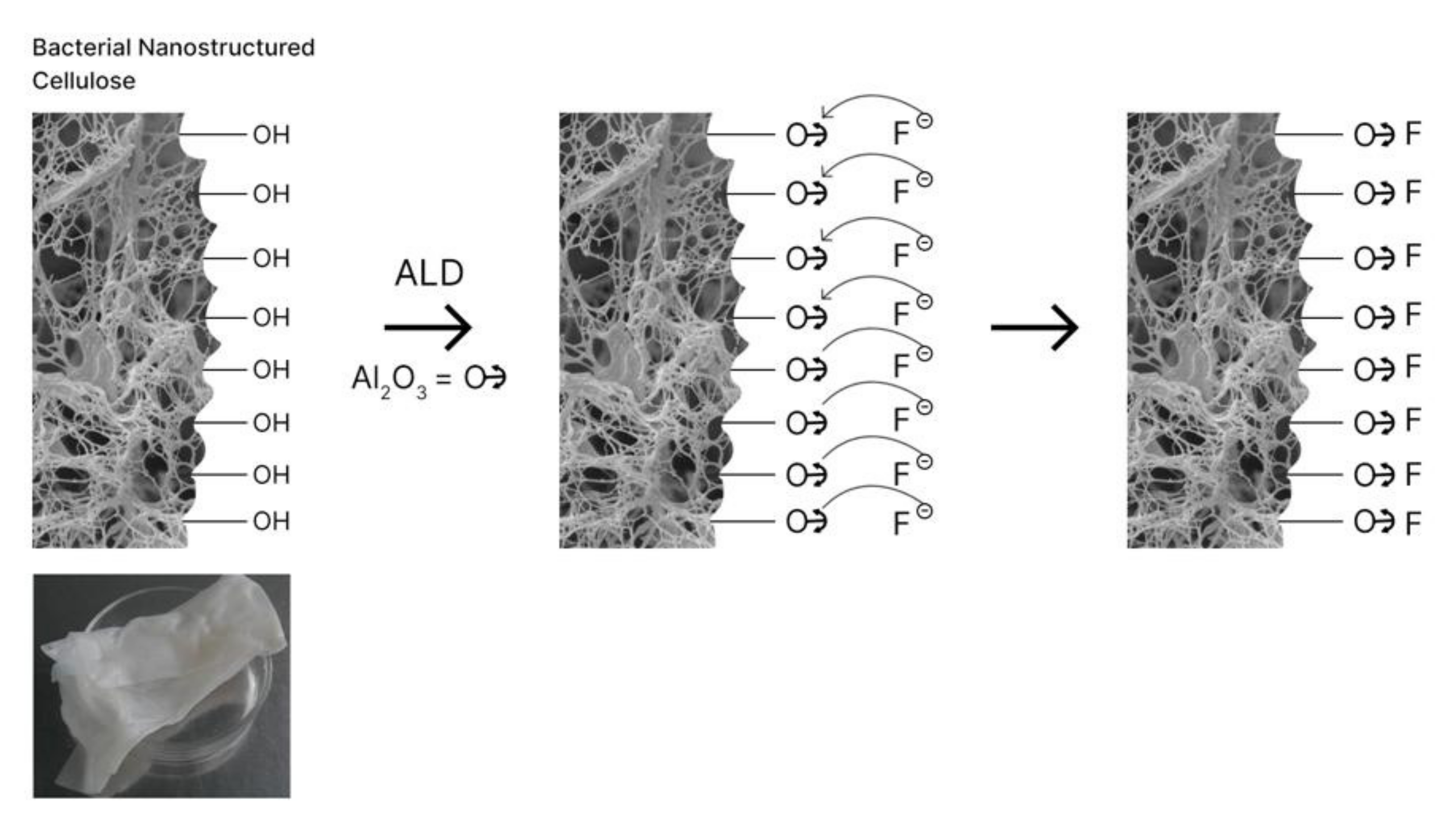 Polymers 13 01422 g006 Polymers 13 01422 g006
