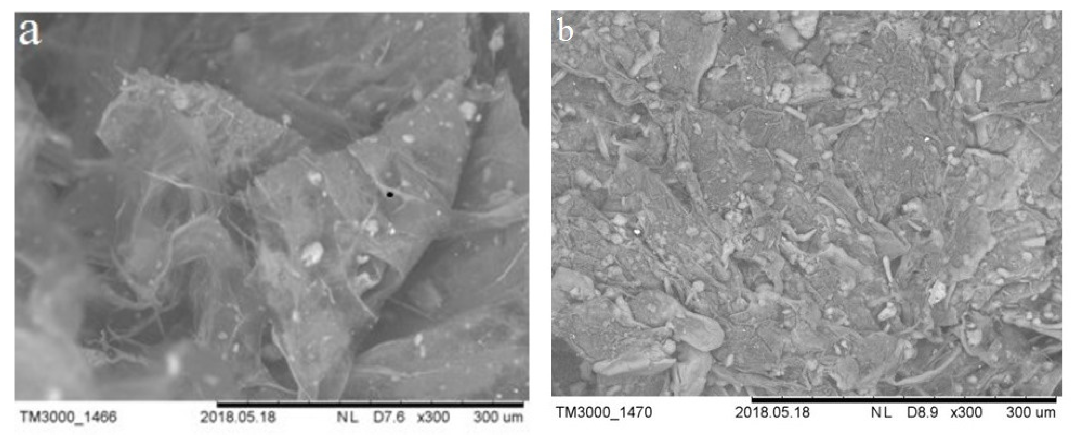 Polymers 13 01422 g007 Polymers 13 01422 g007