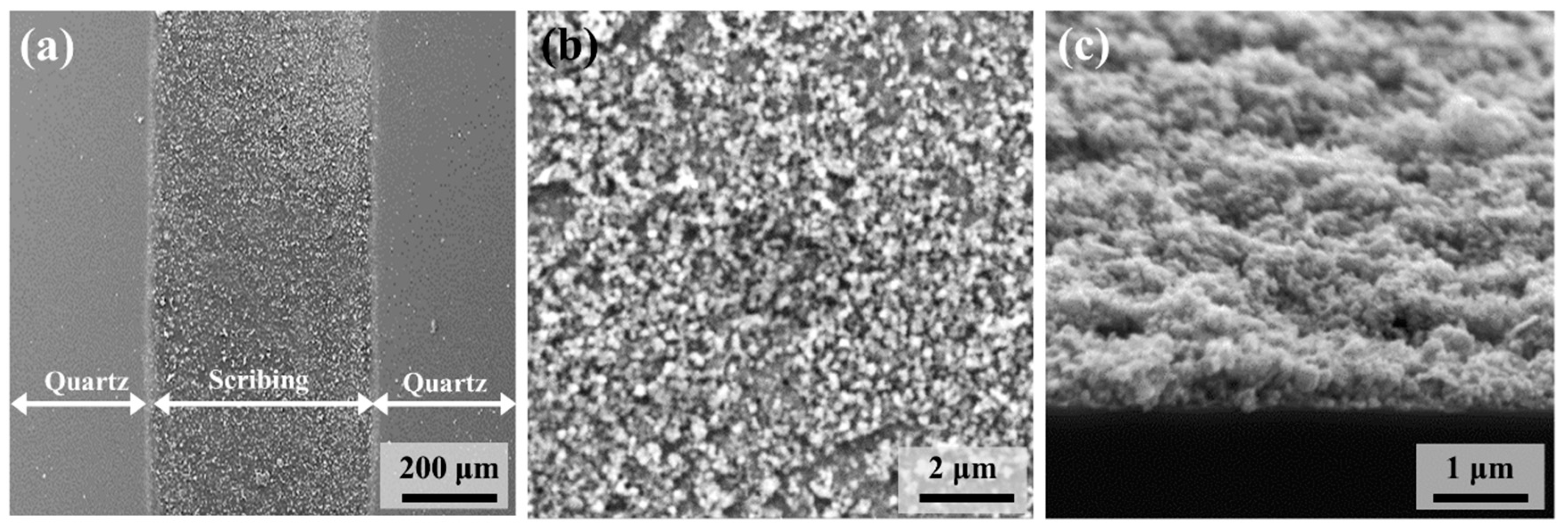 Polymers 13 01423 g007 Polymers 13 01423 g007