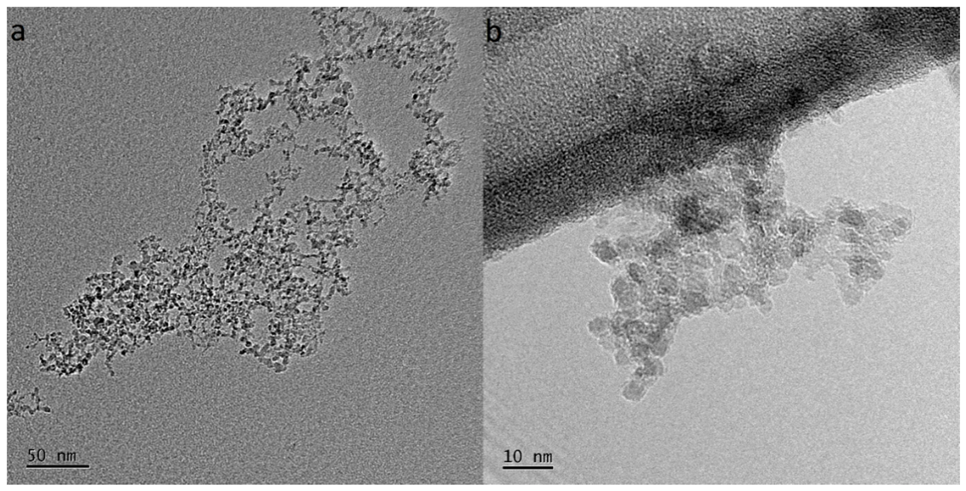 Polymers 13 01426 g005