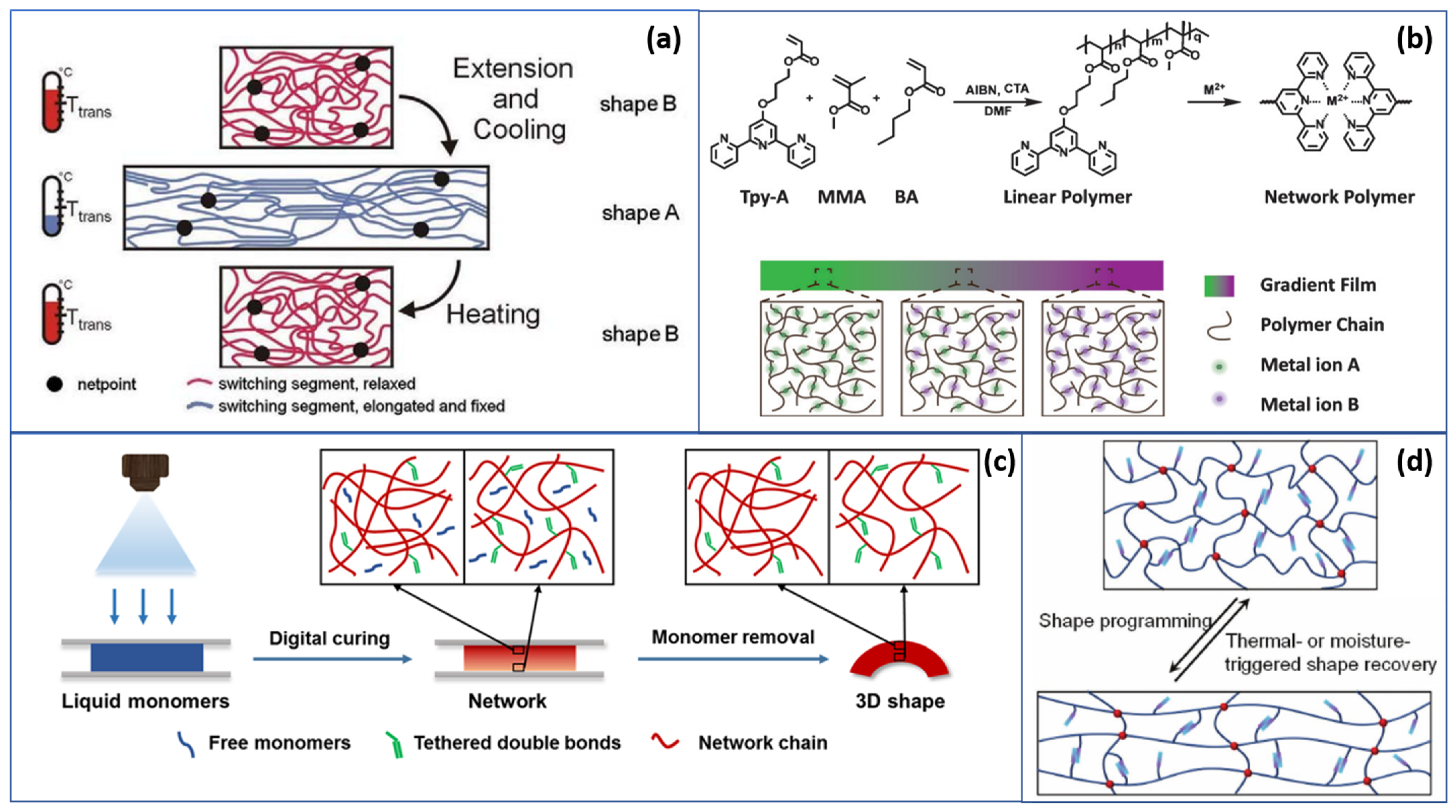 Polymers 13 01427 g003