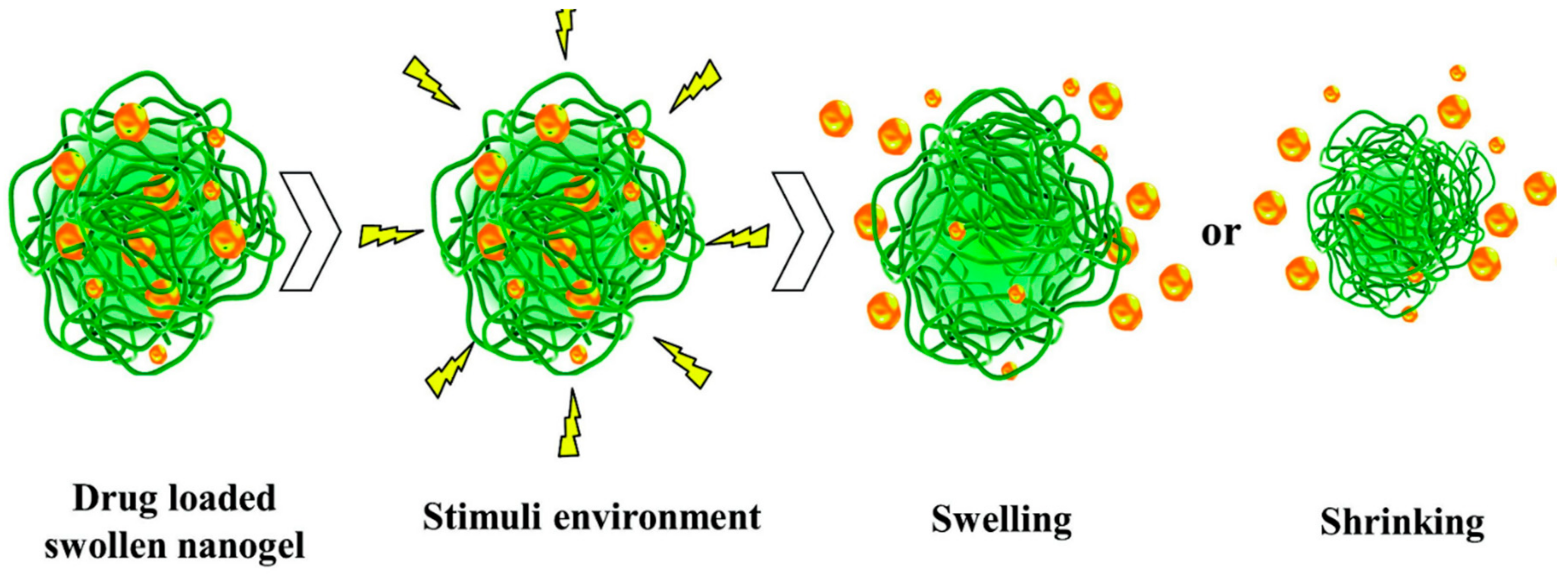 Polymers 13 01431 g003 Polymers 13 01431 g003