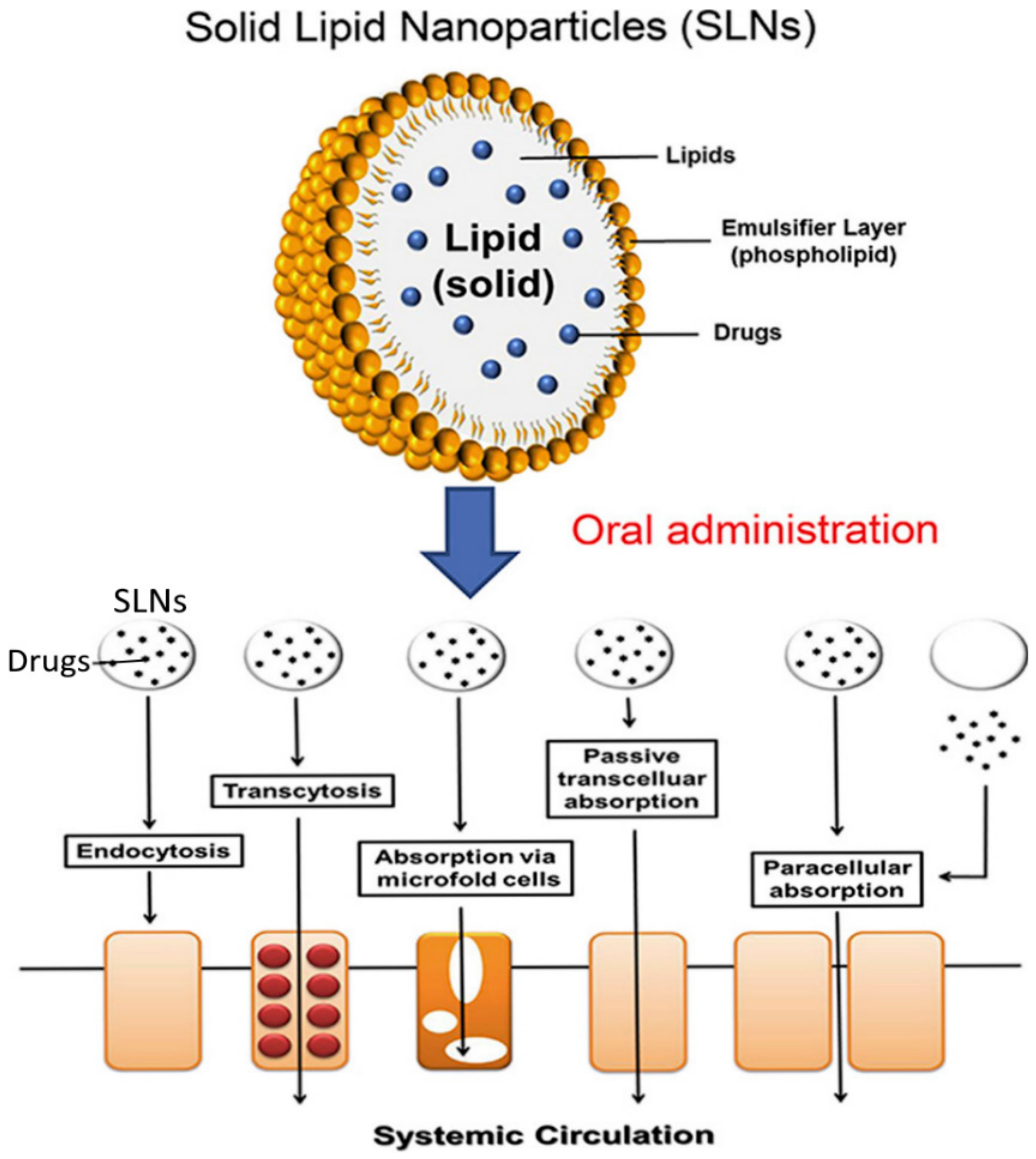 Polymers 13 01431 g004 Polymers 13 01431 g004