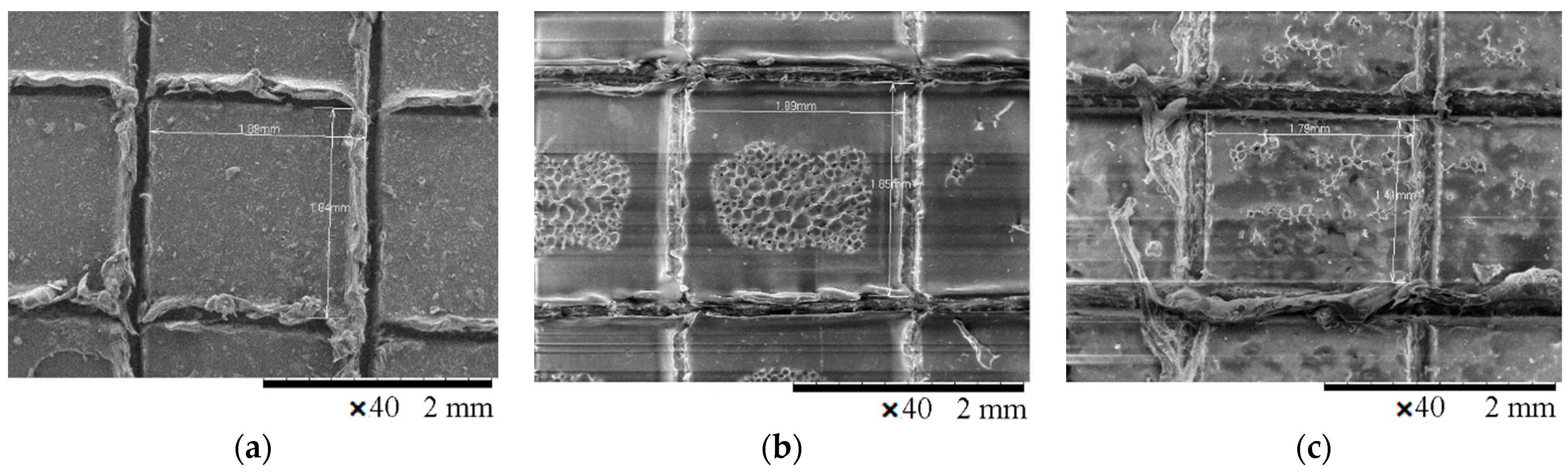 Polymers 13 01432 g015