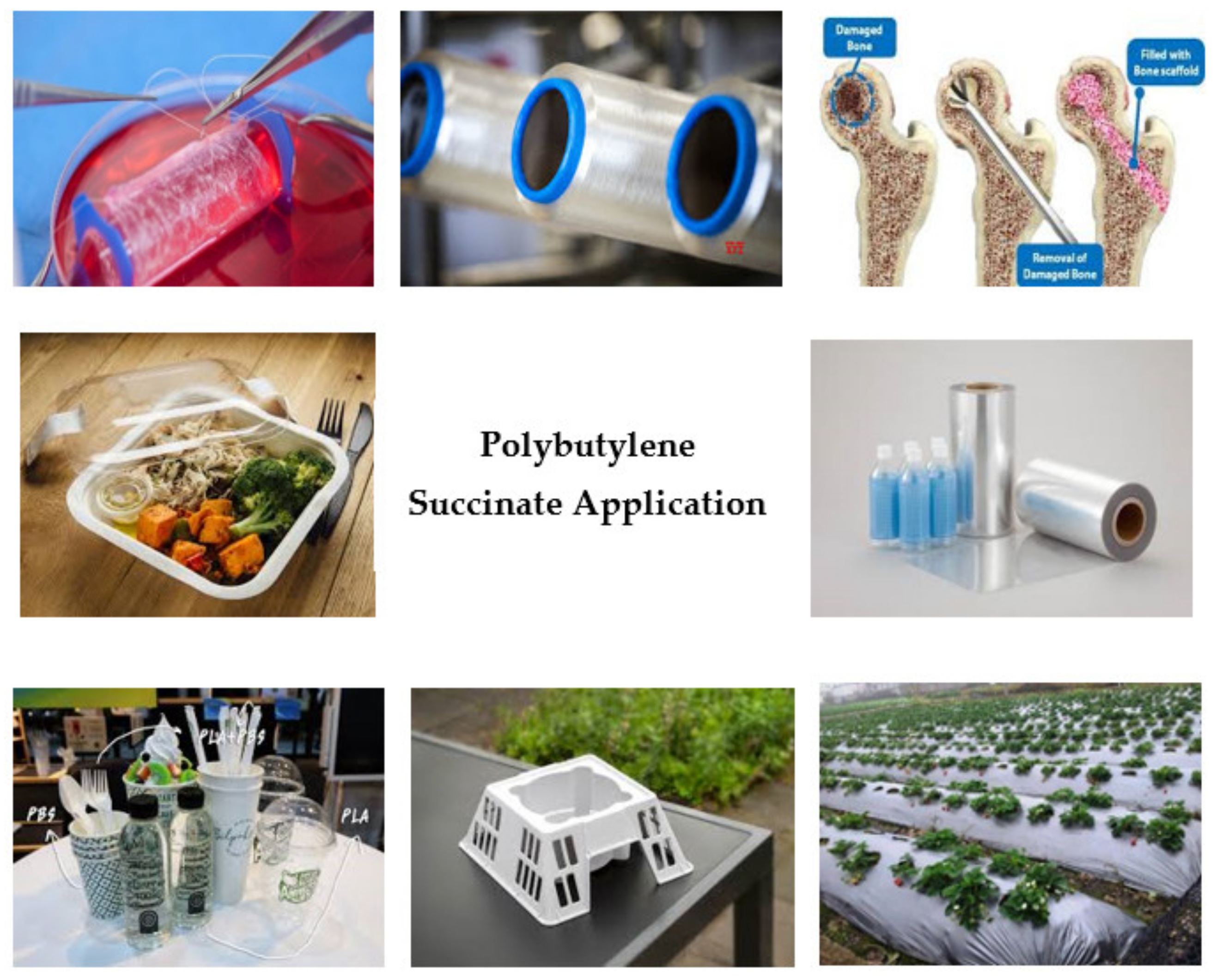 Polymers Free Full Text A Review On Properties And Application Of Bio Based Poly Butylene Succinate Html