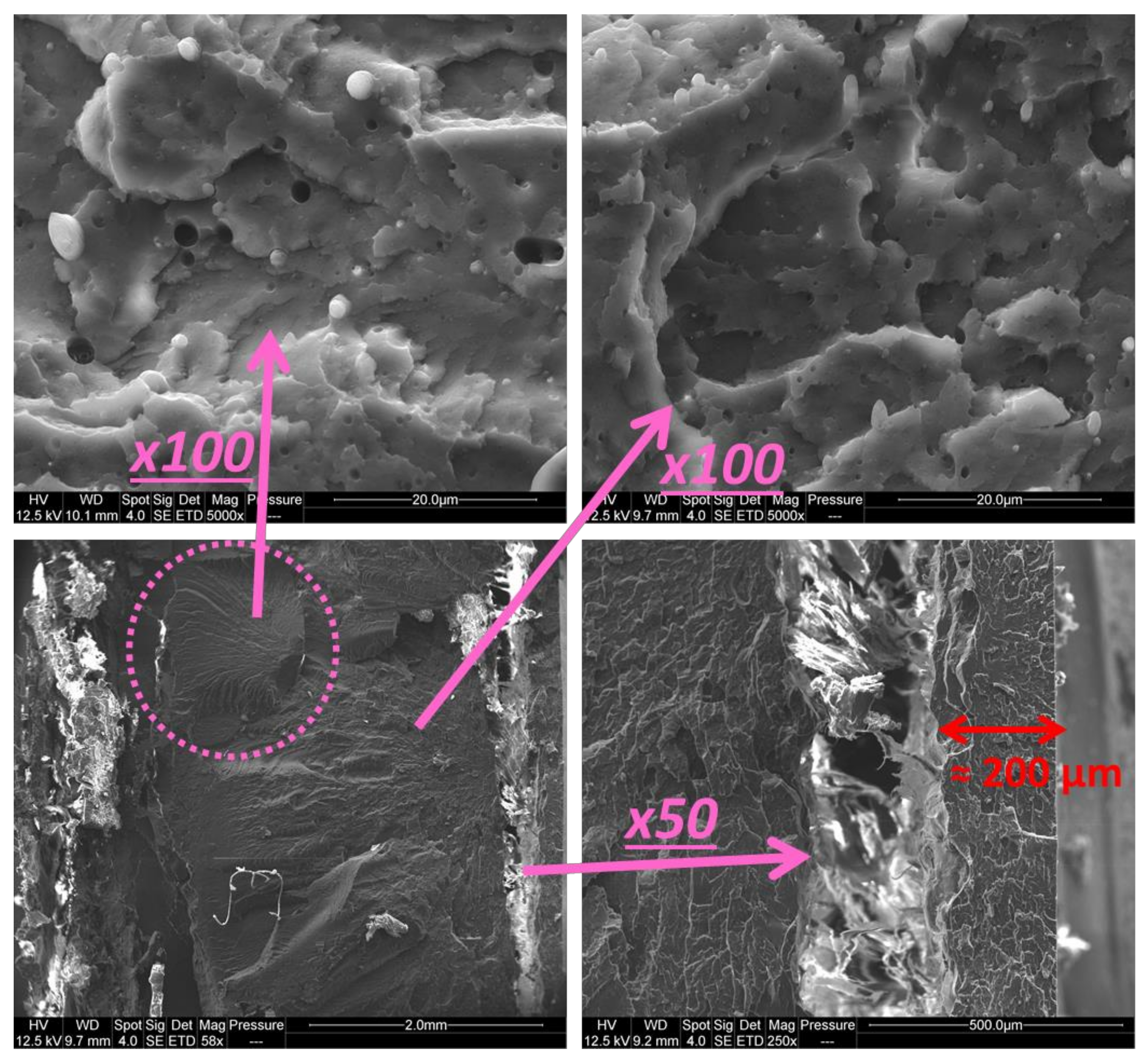 Polymers 13 01439 g008