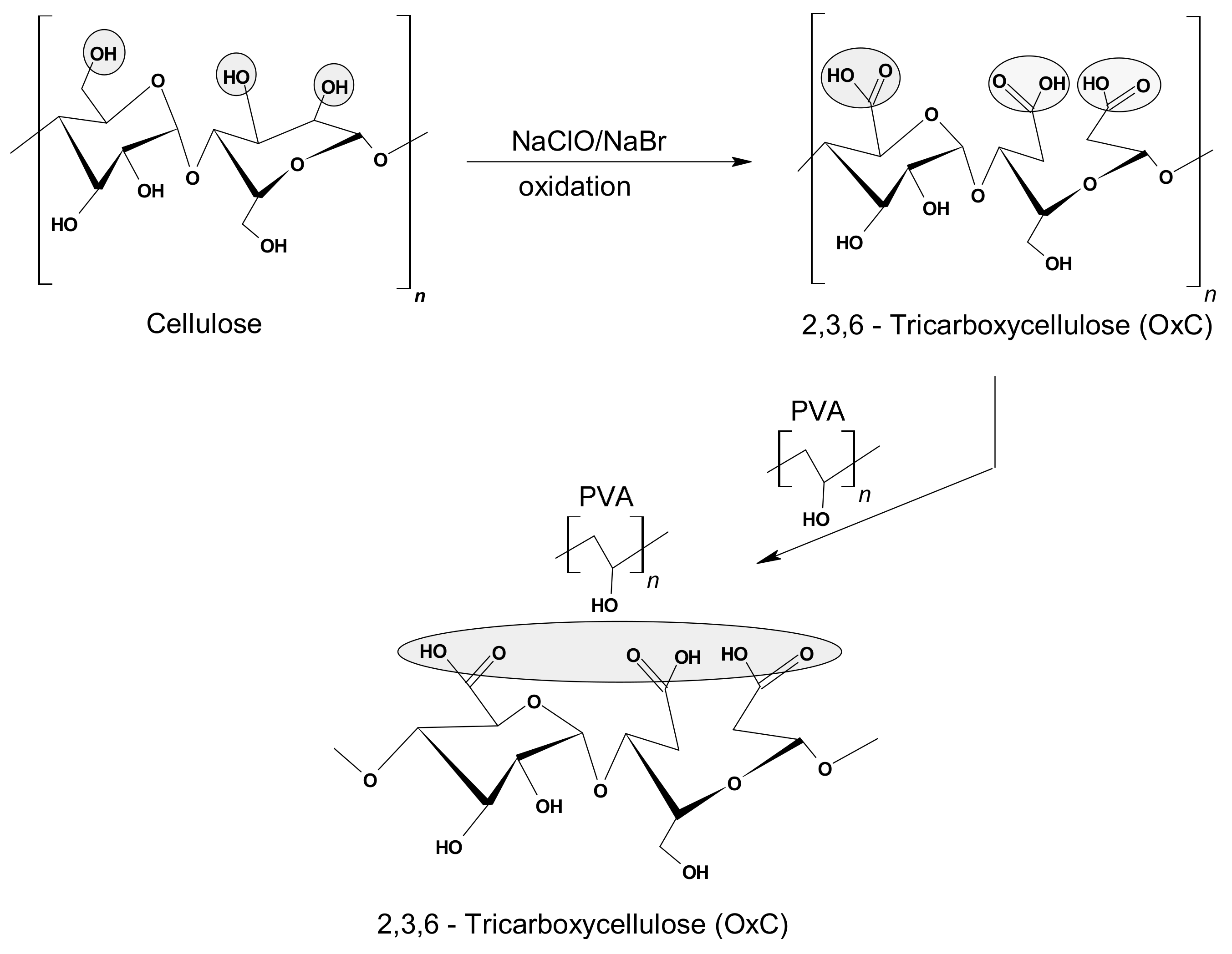 Polymers 13 01444 g001