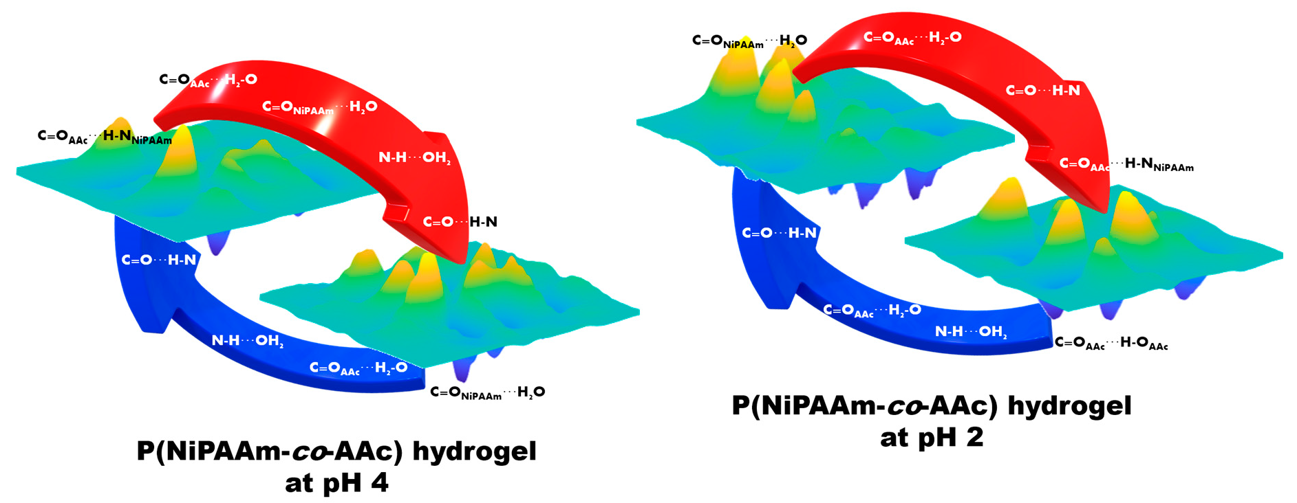 Polymers Free Full Text The Study Of Ph Effects On Phase Transition Of Multi Stimuli Responsive P Nipaam Co c Hydrogel Using 2d Cos Html