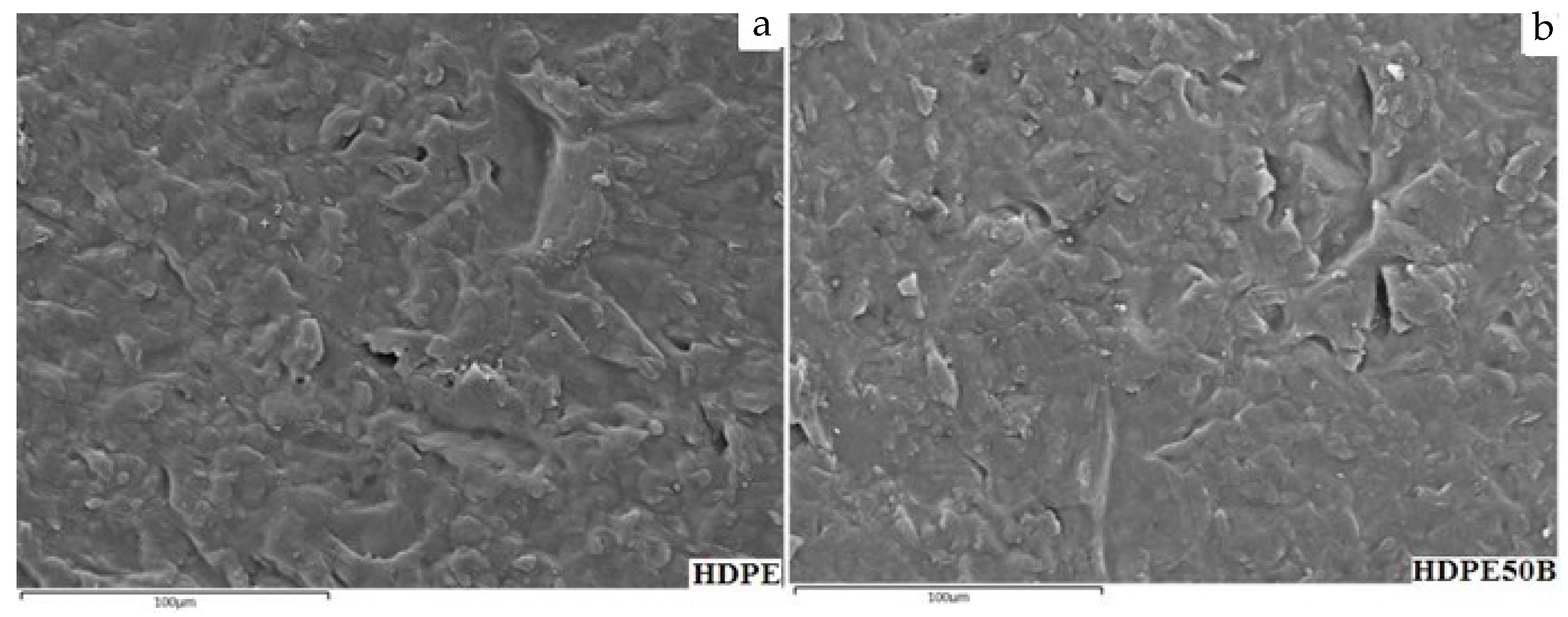 Polymers 13 01459 g004