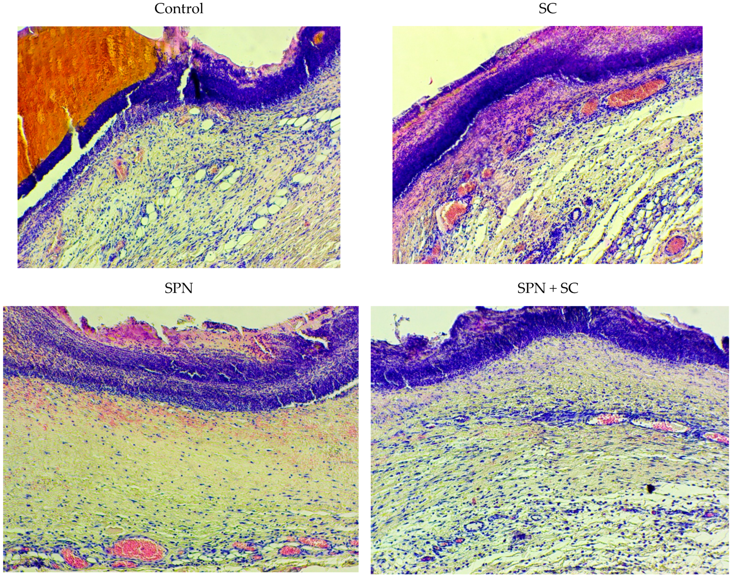 Polymers 13 01467 g010 Polymers 13 01467 g010