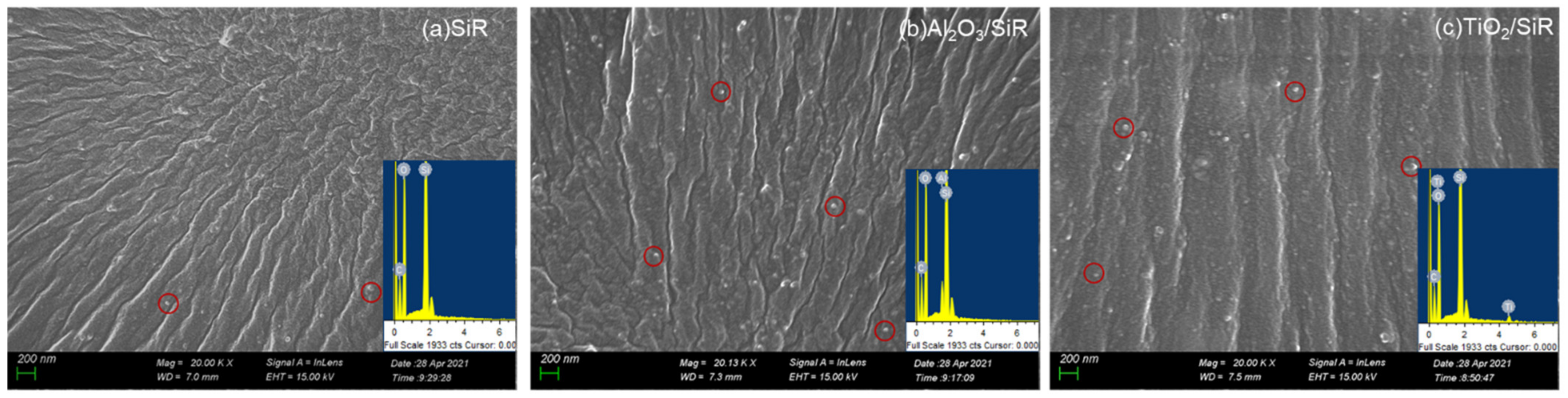 Polymers 13 01474 g001