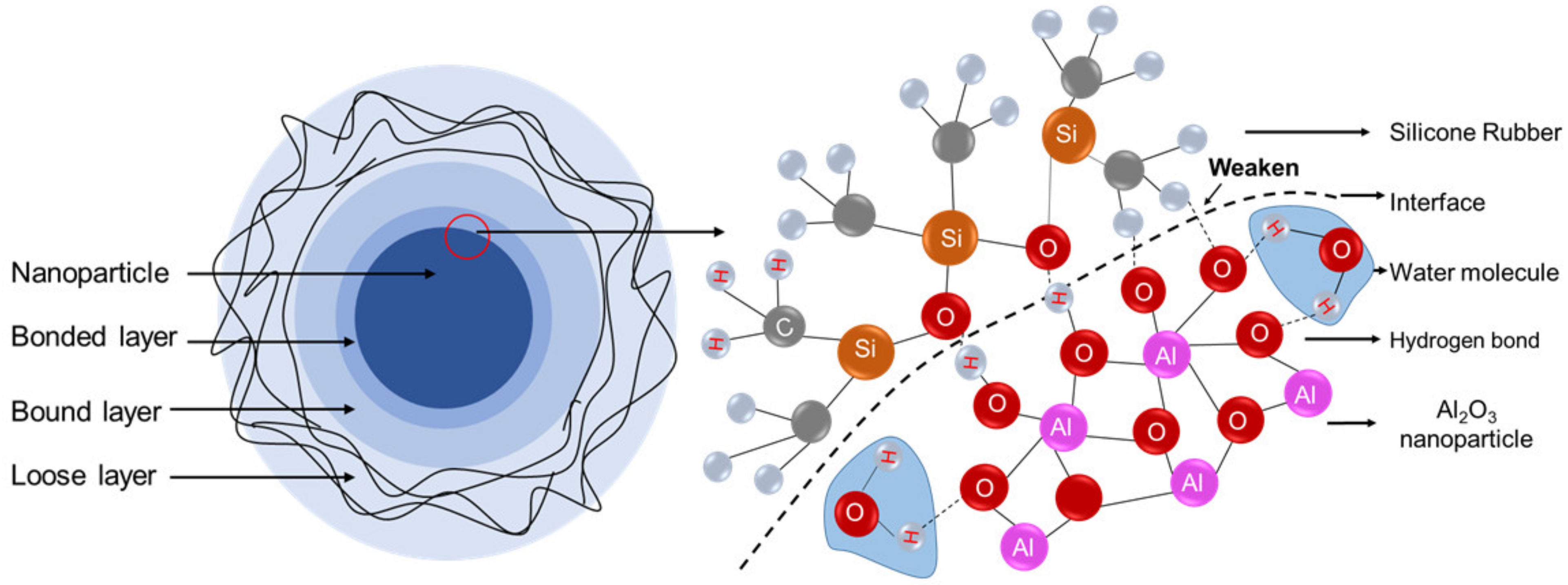 Polymers 13 01474 g010