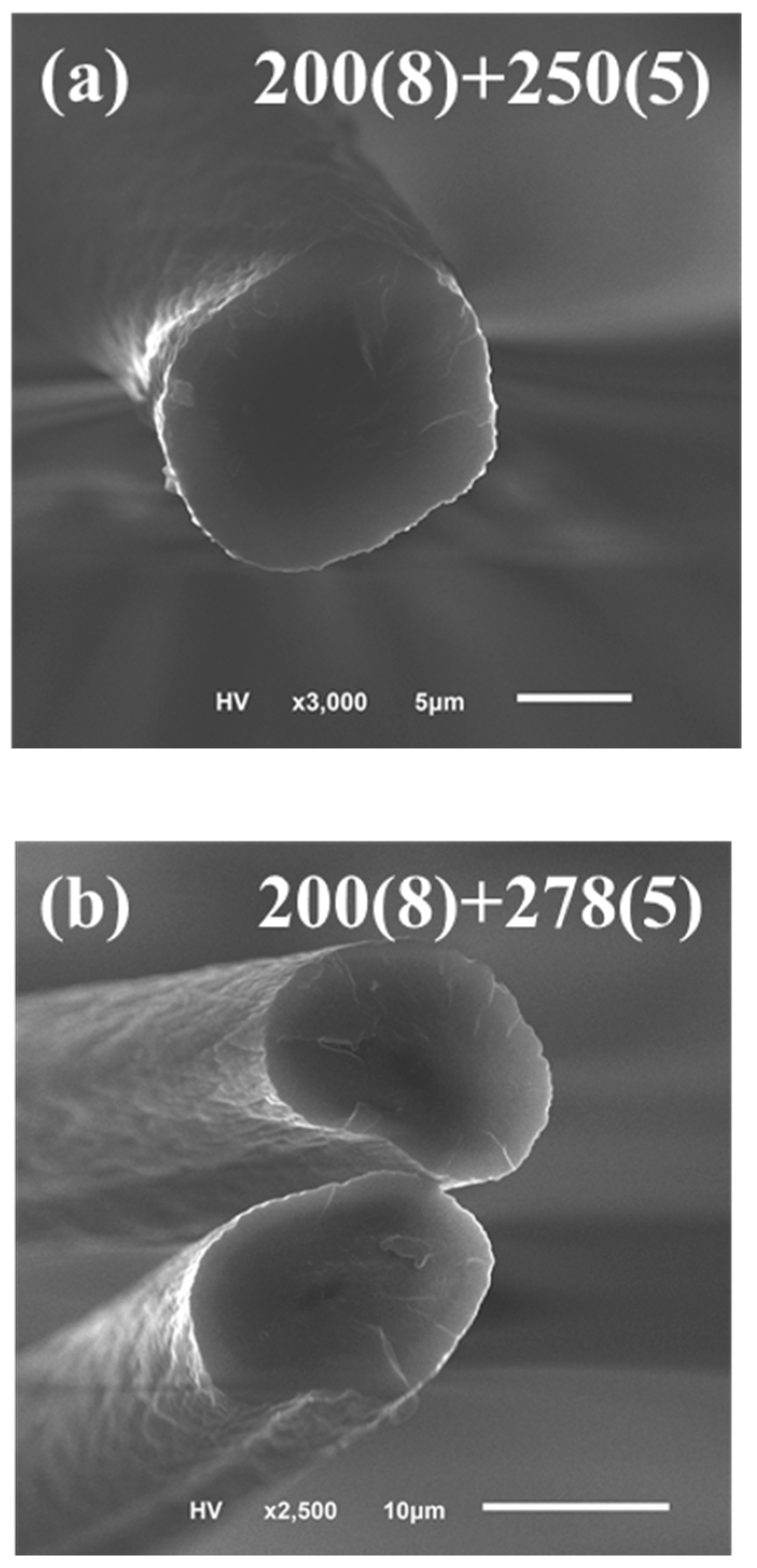 Polymers 13 01476 g006a Polymers 13 01476 g006a