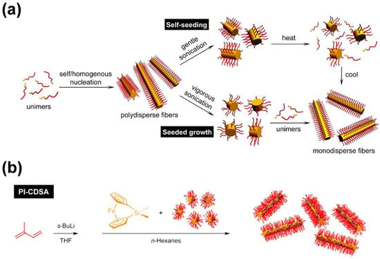 Defect-Induced Secondary Crystals Drive Two-Dimensional to  Three-Dimensional Morphological Evolution in the Co-Self-Assembly of  Polyferrocenylsilane Block Copolymer and Homopolymer