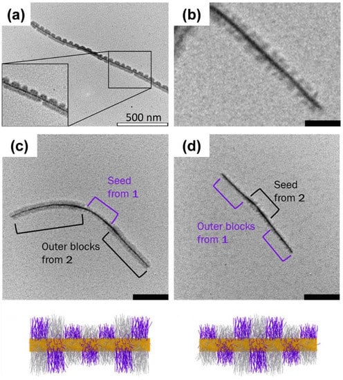 Defect-Induced Secondary Crystals Drive Two-Dimensional to  Three-Dimensional Morphological Evolution in the Co-Self-Assembly of  Polyferrocenylsilane Block Copolymer and Homopolymer