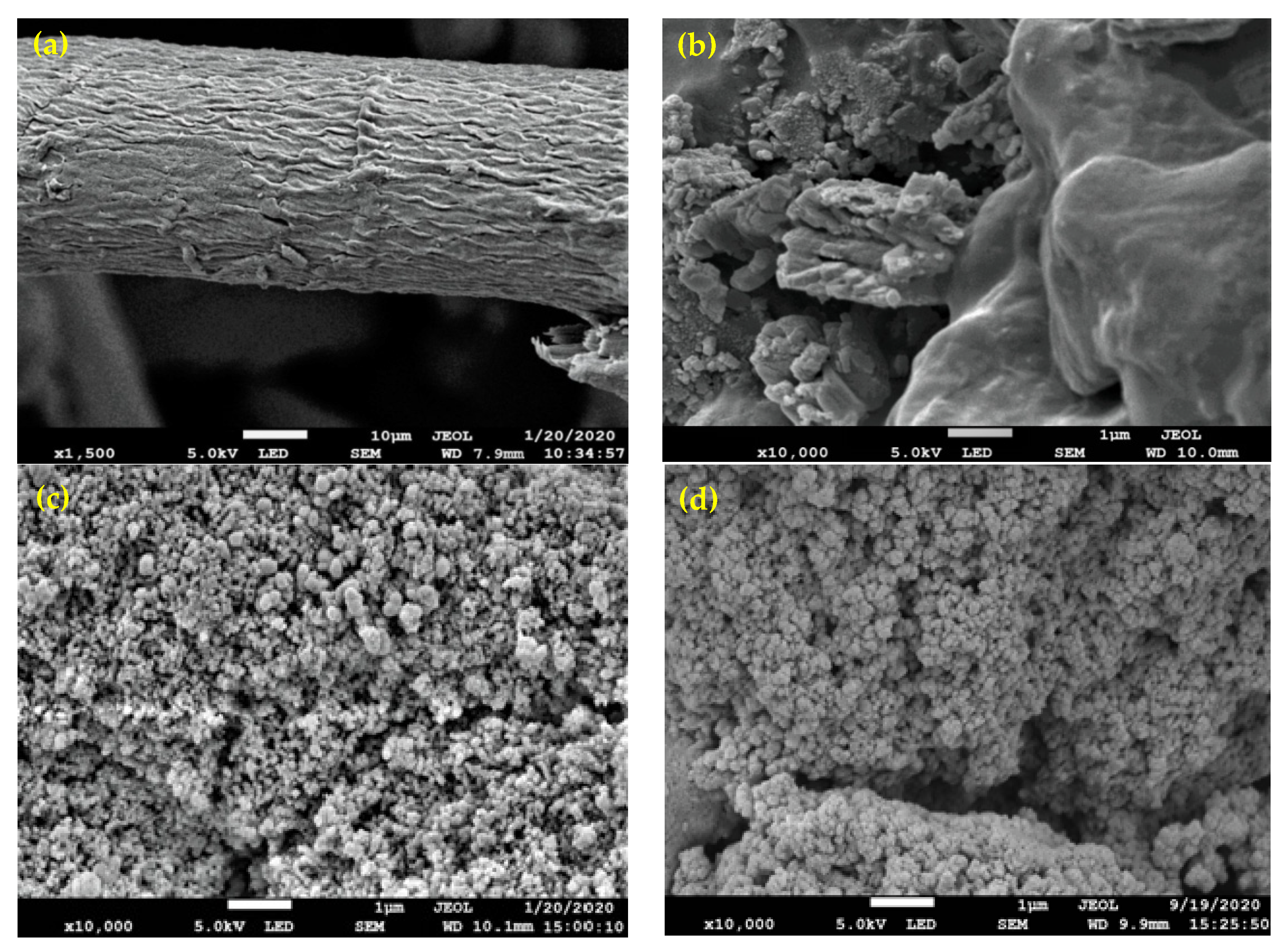 Polymers 13 01486 g003