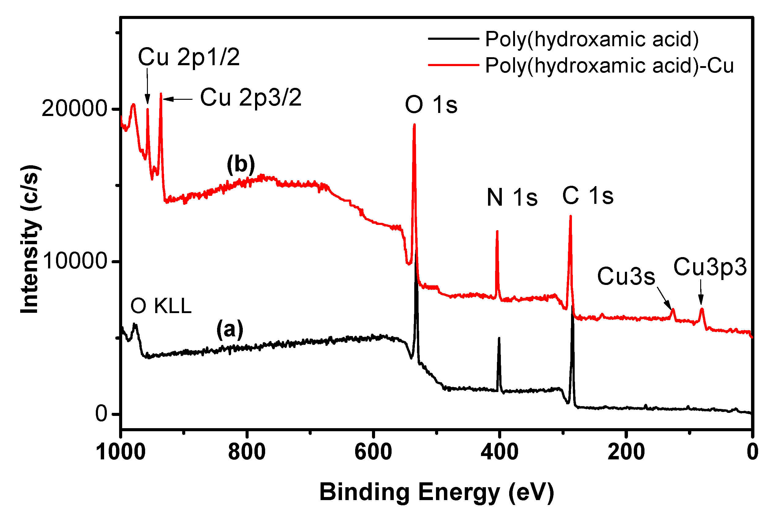 Polymers 13 01486 g005