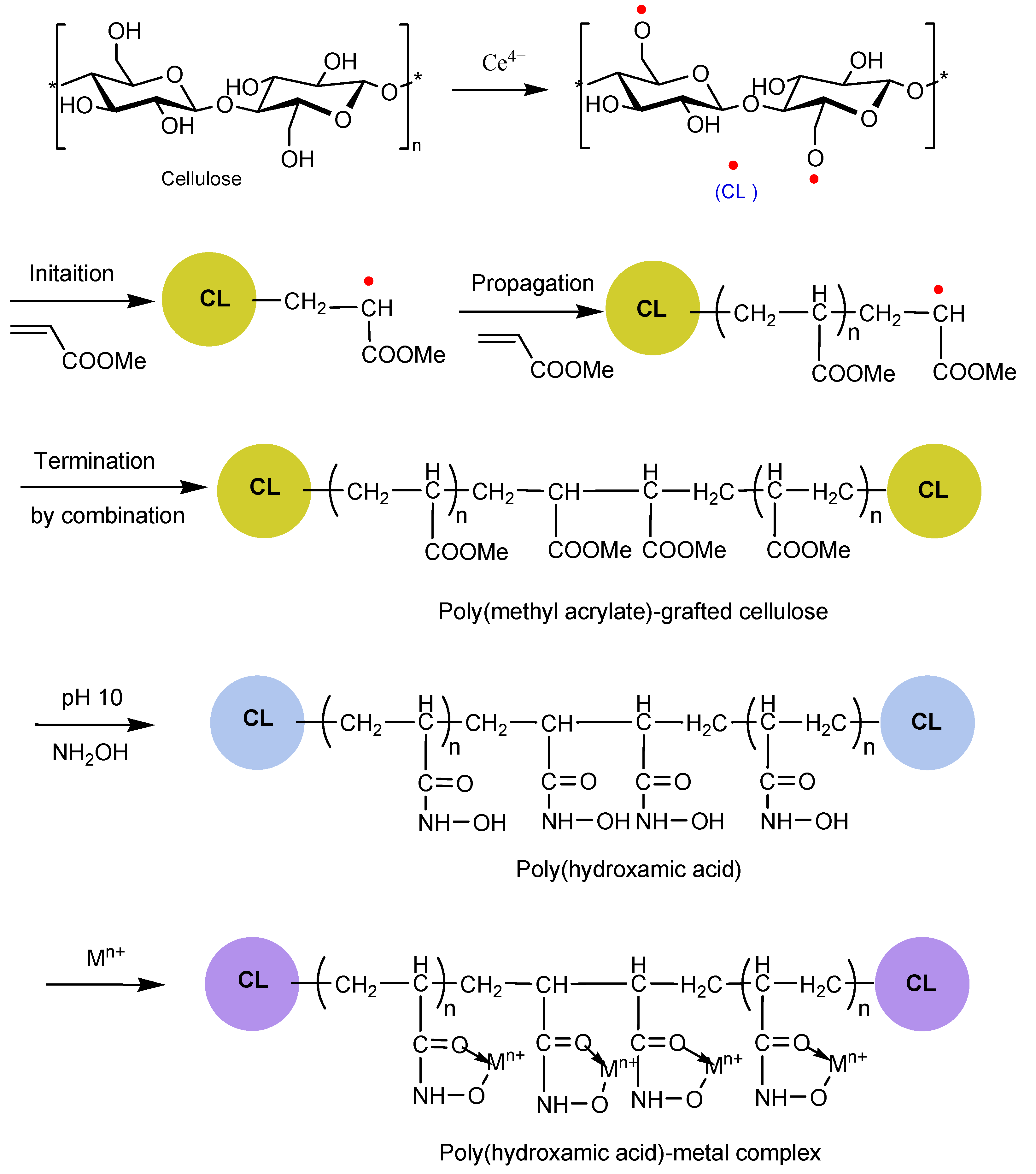 Polymers 13 01486 sch001