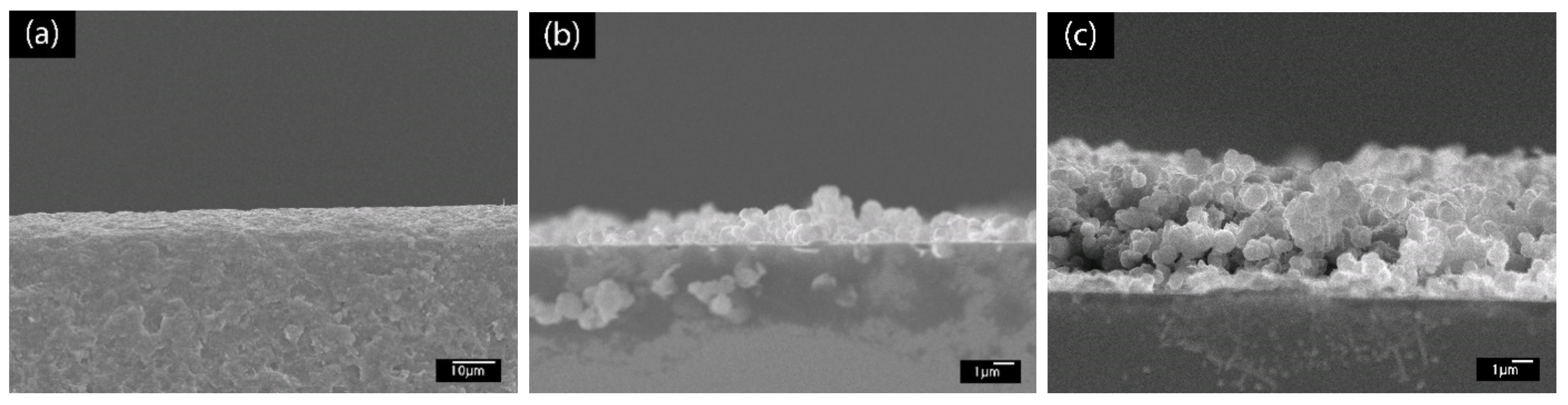 Polymers 13 01488 g004 Polymers 13 01488 g004