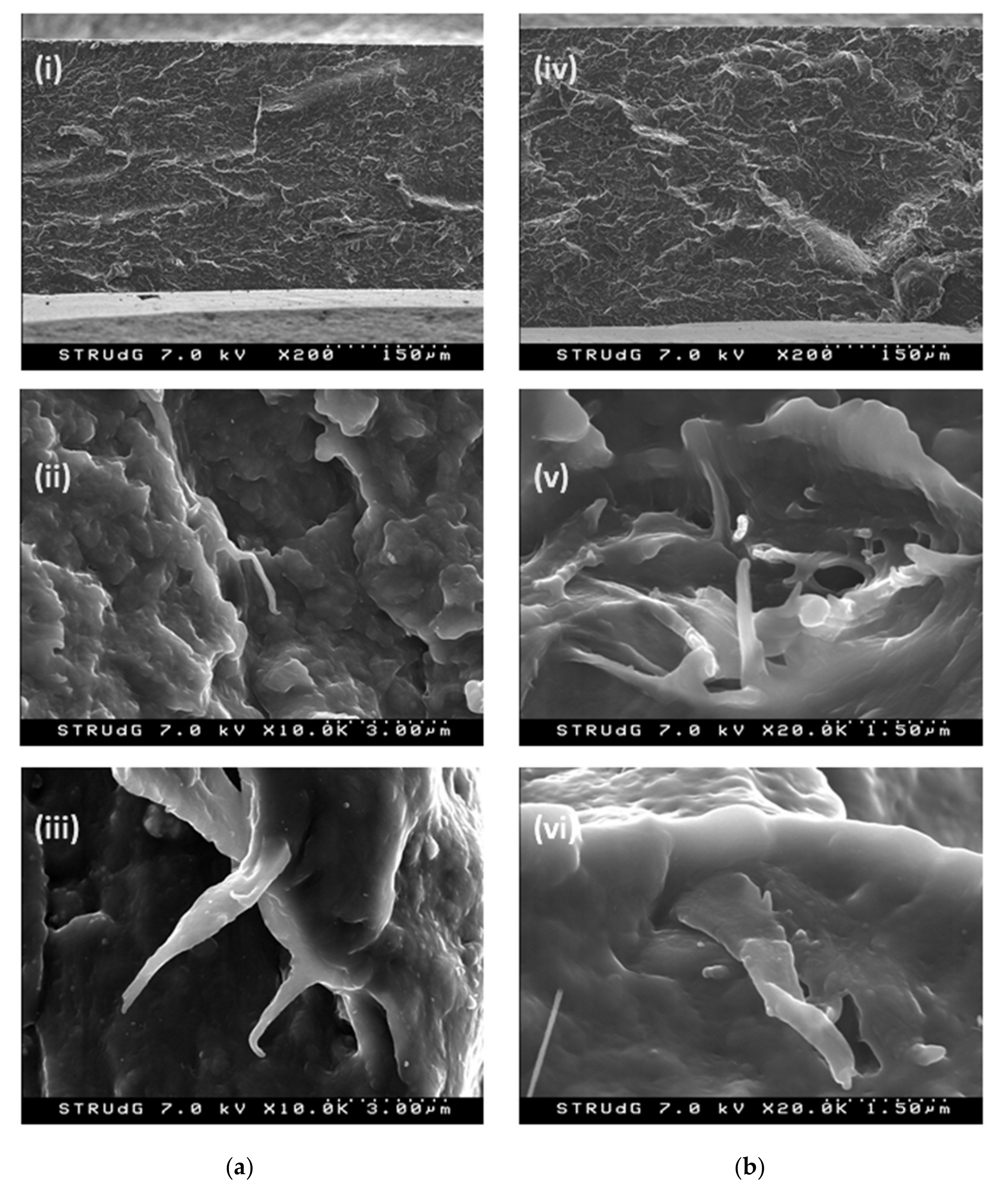 Polymers 13 01495 g008 Polymers 13 01495 g008