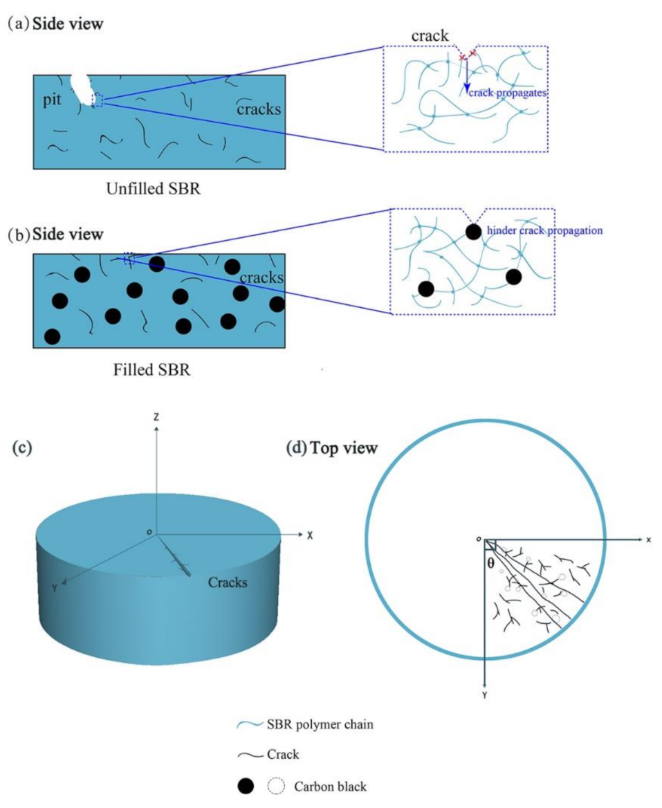 Polymers 13 01497 g005