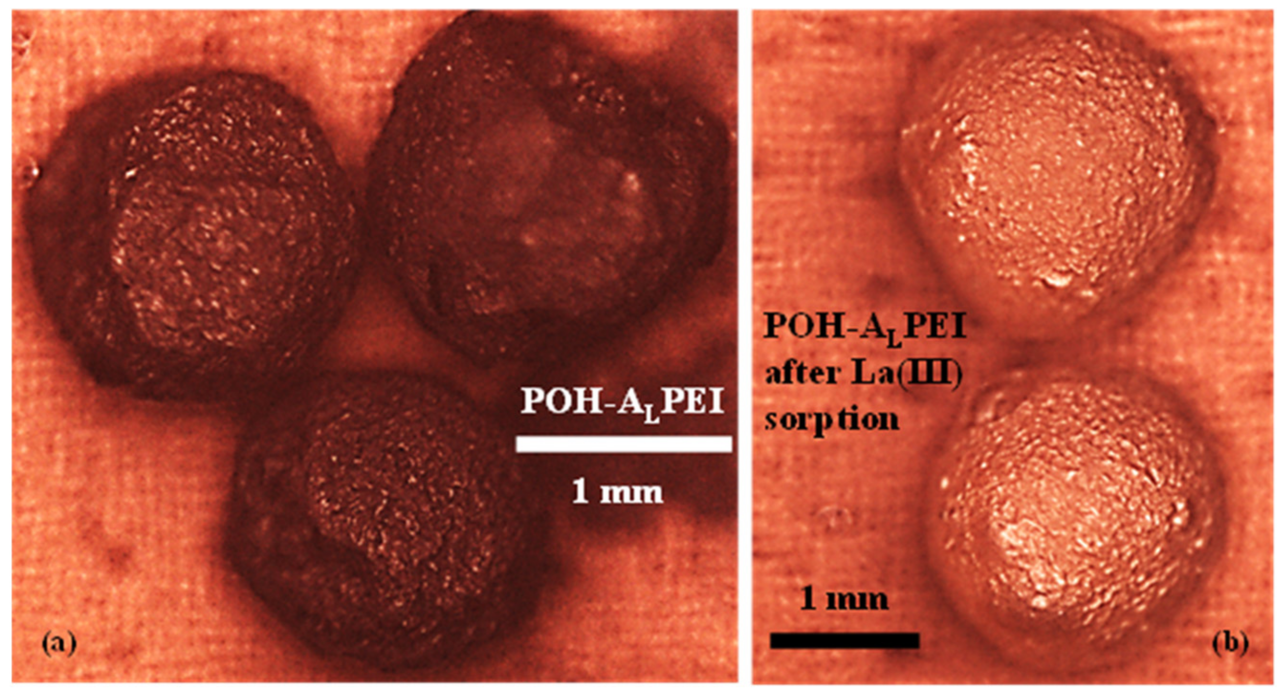 Polymers 13 01513 g001 Polymers 13 01513 g001