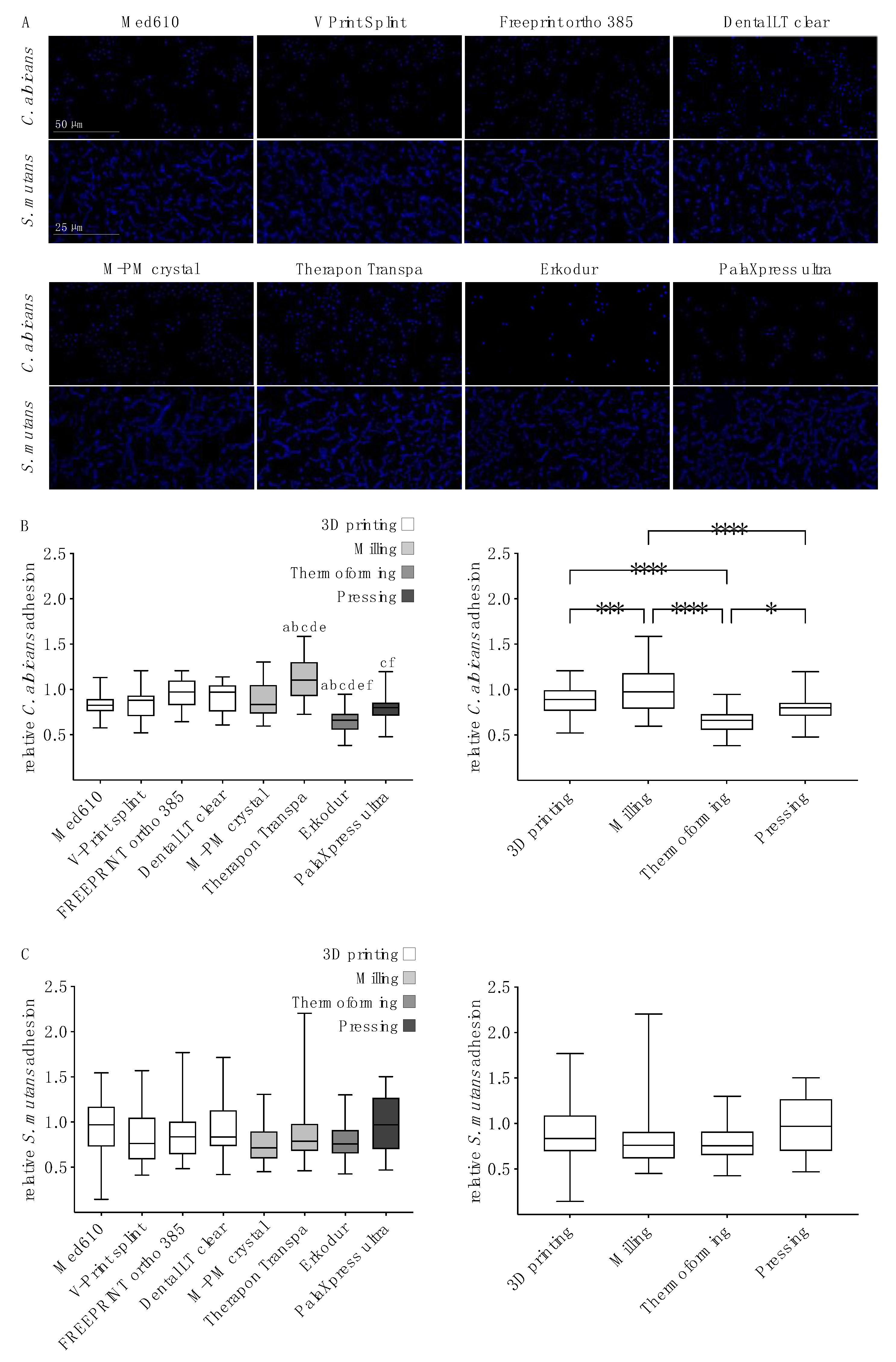 Polymers Free Full Text Influence Of The Manufacturing Method On The Adhesion Of Candida Albicans And Streptococcus Mutans To Oral Splint Resins Html