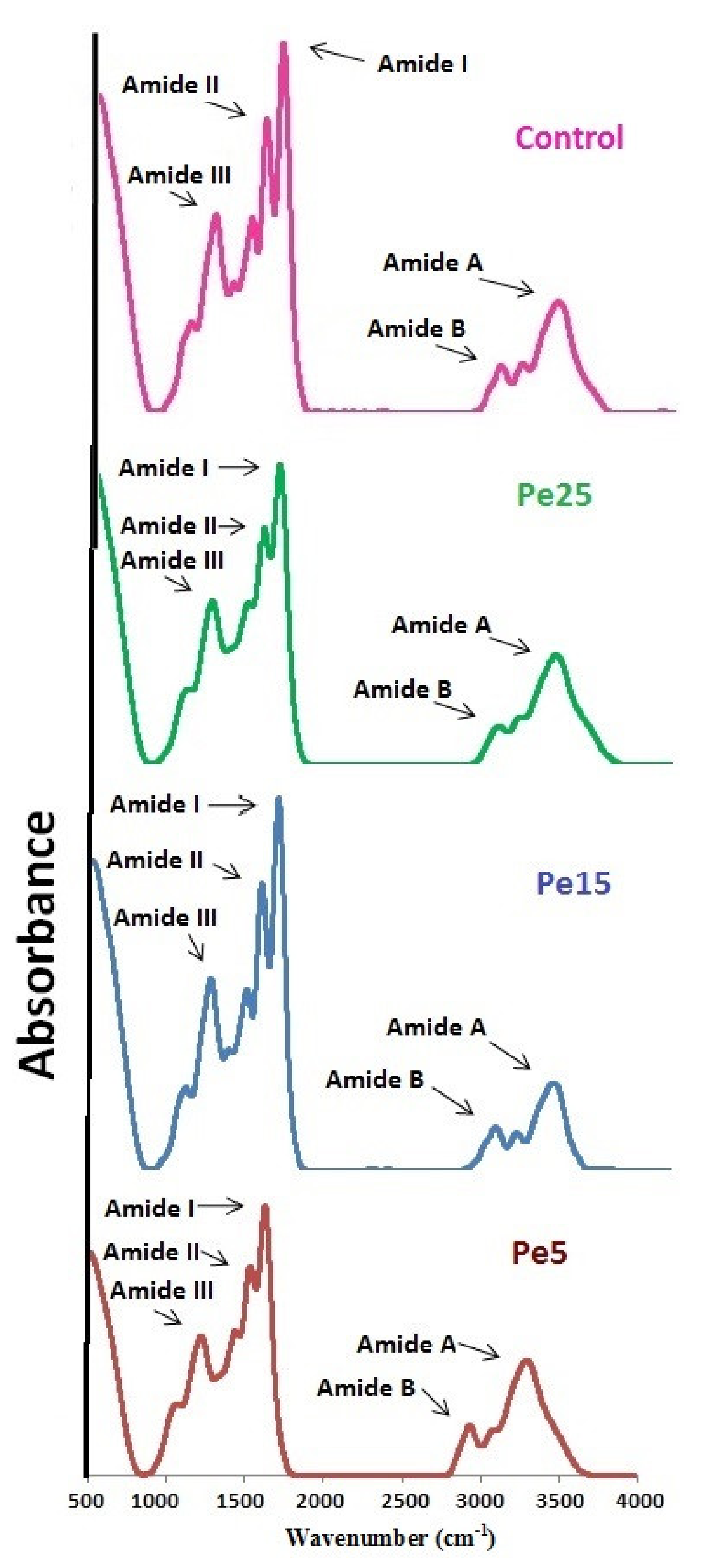 Polymers 13 01554 g004 Polymers 13 01554 g004