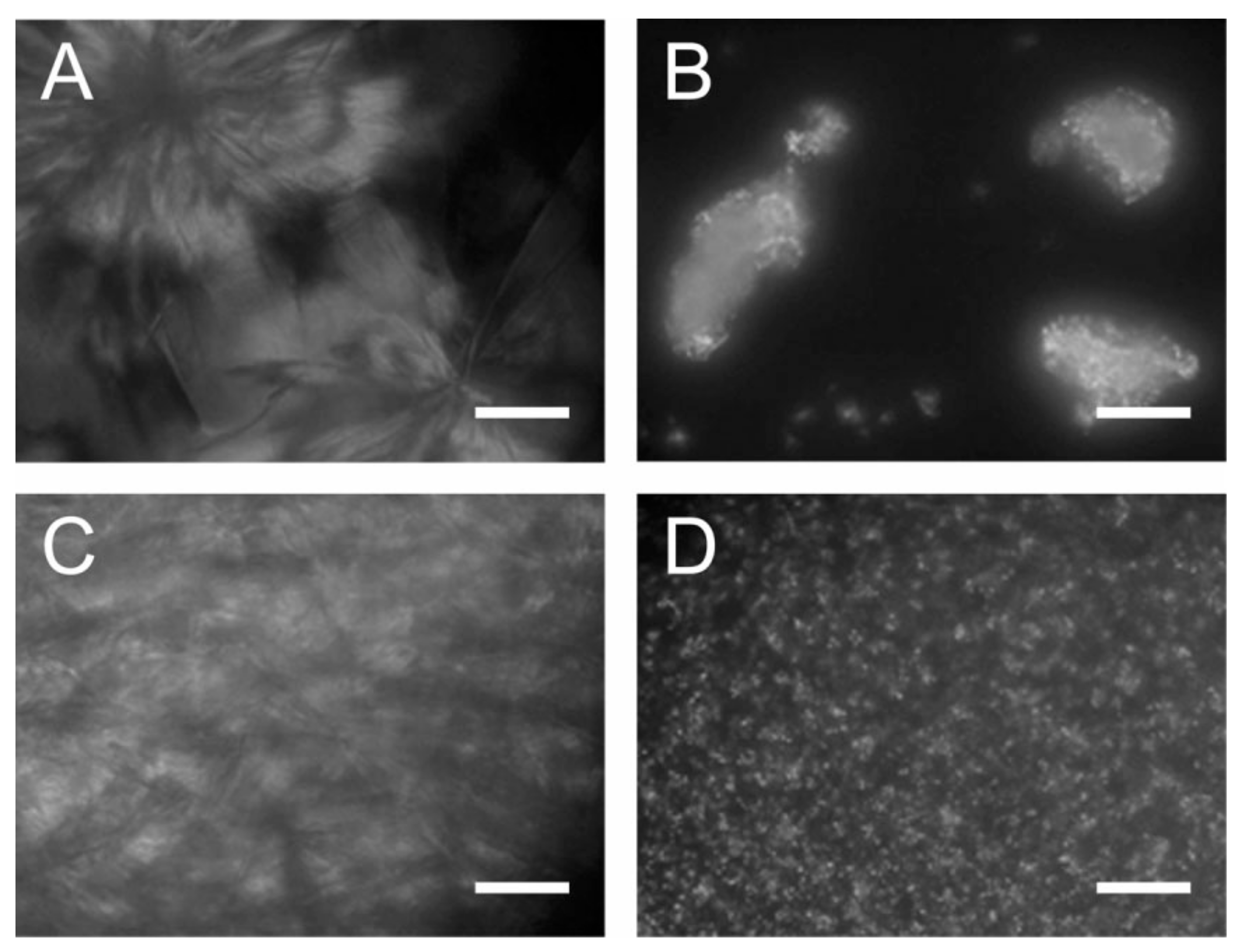 Polymers 13 01580 g008