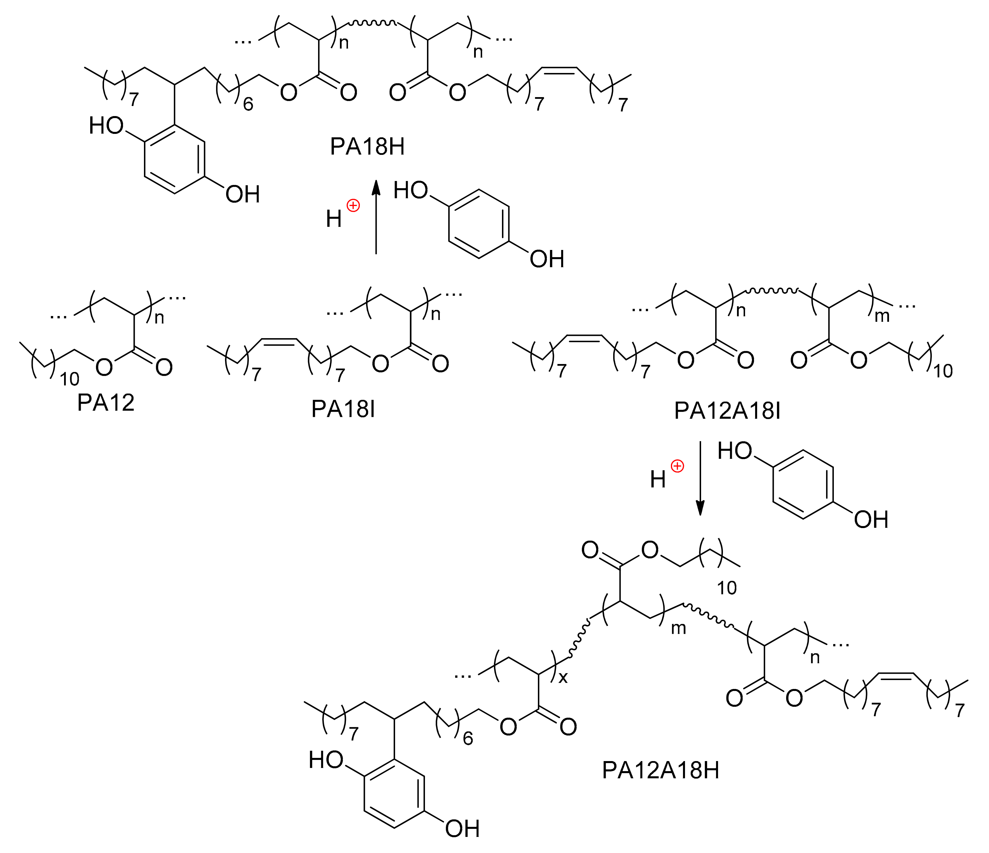 Polymers 13 01580 sch004