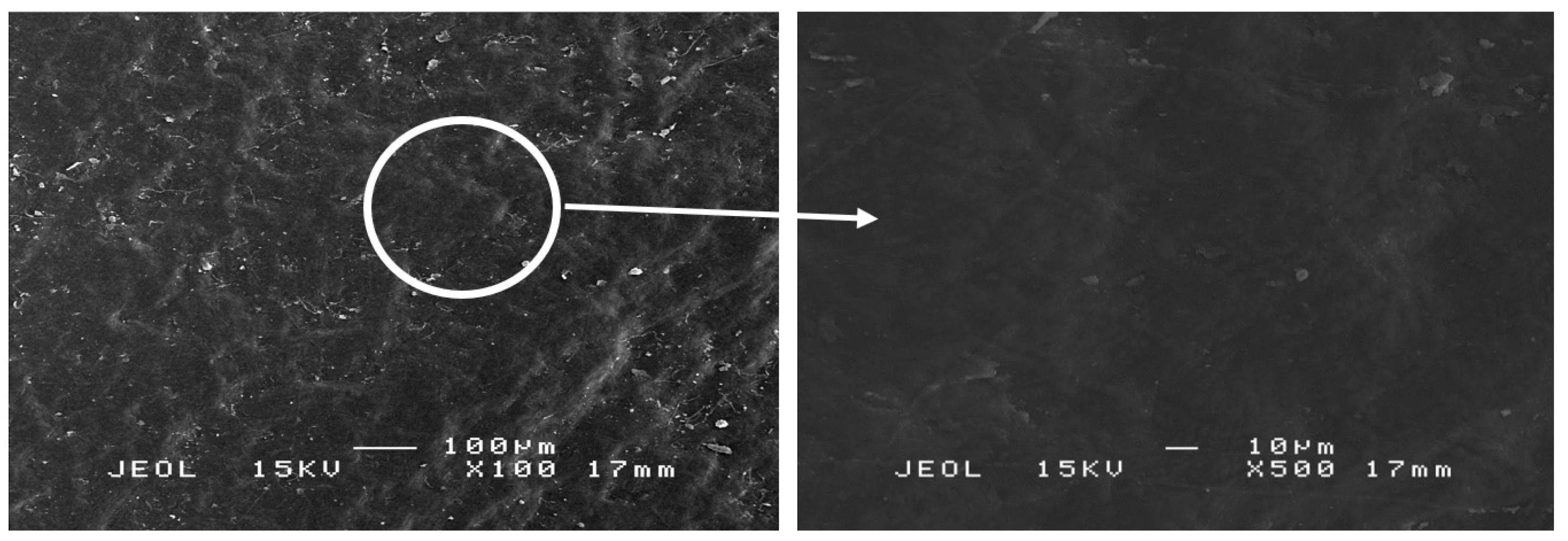 Polymers 13 01581 g005 Polymers 13 01581 g005