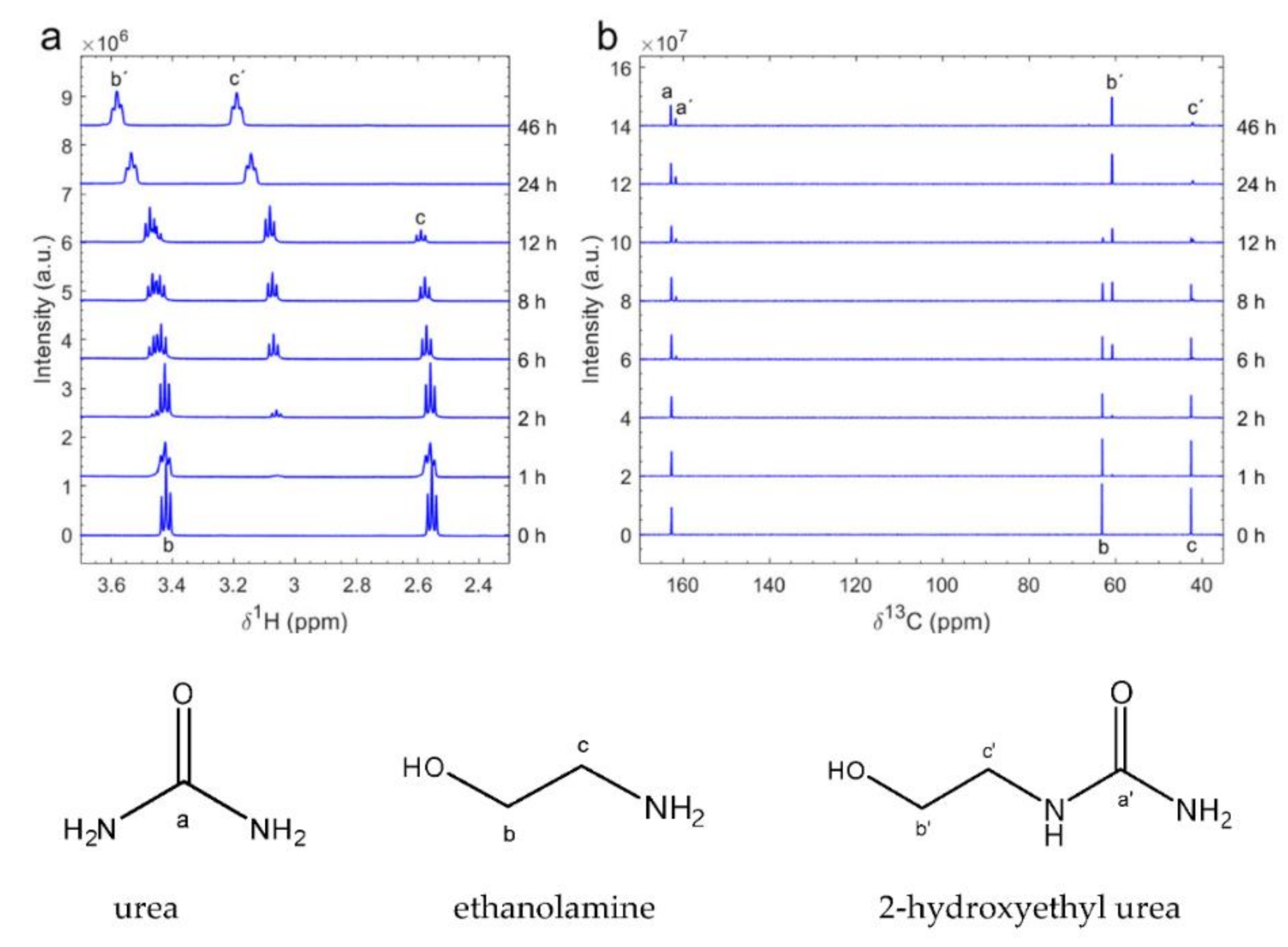 Polymers 13 01583 g001