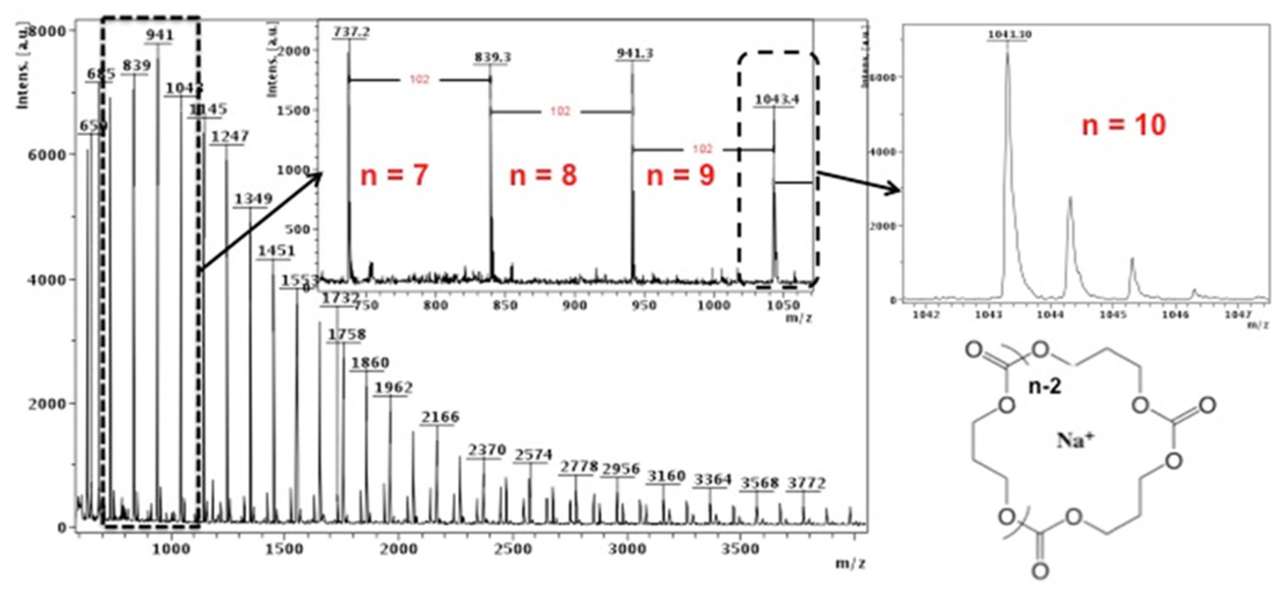 Polymers 13 01589 g003