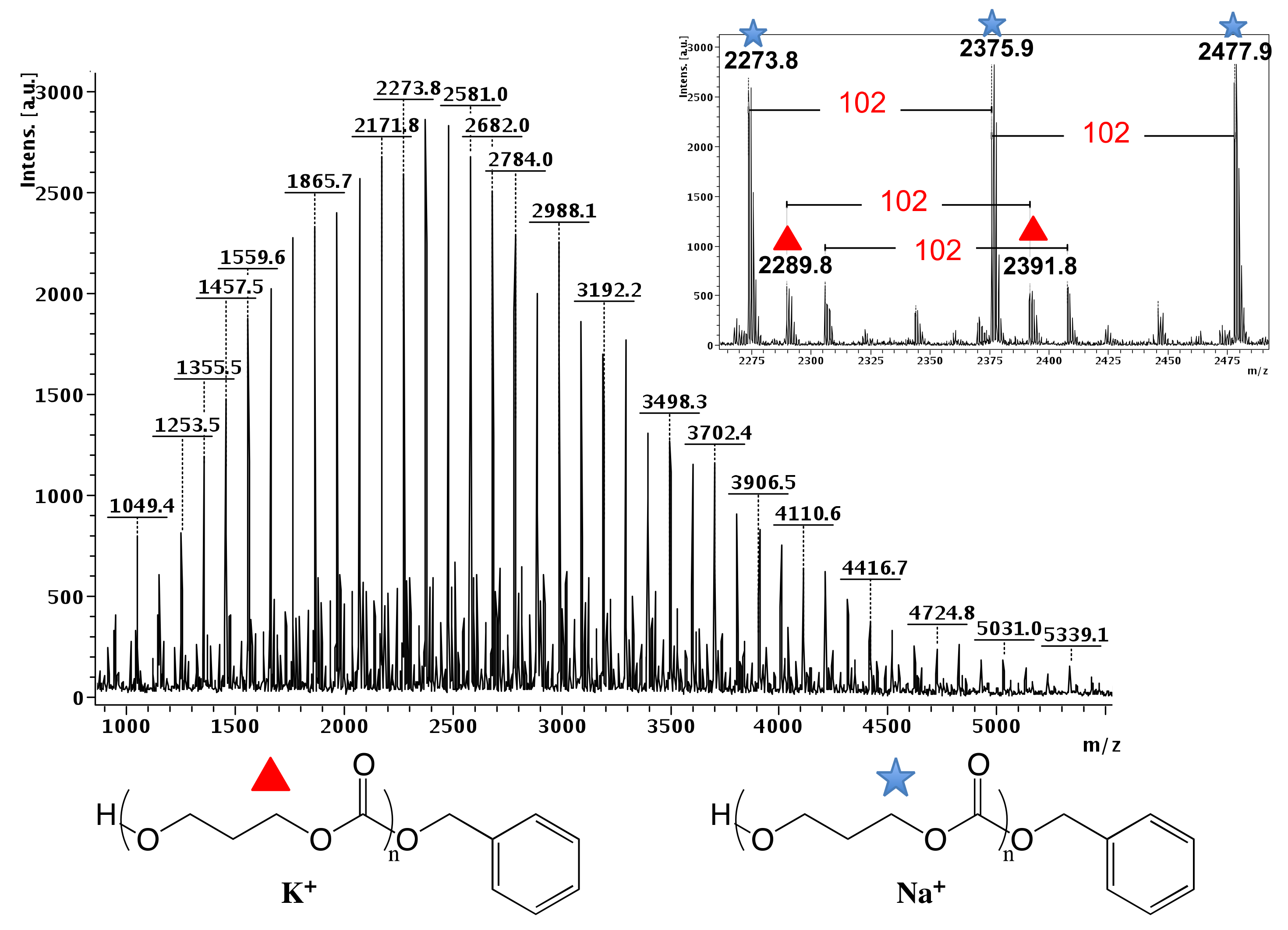 Polymers 13 01589 g006
