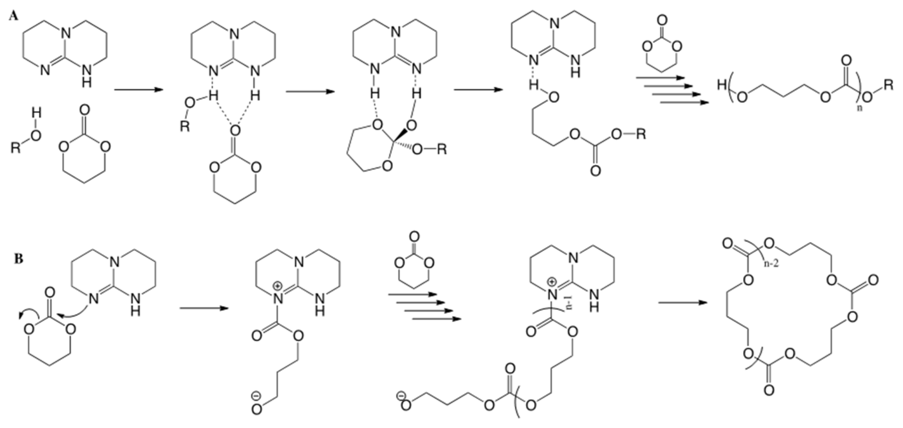 Polymers 13 01589 sch002