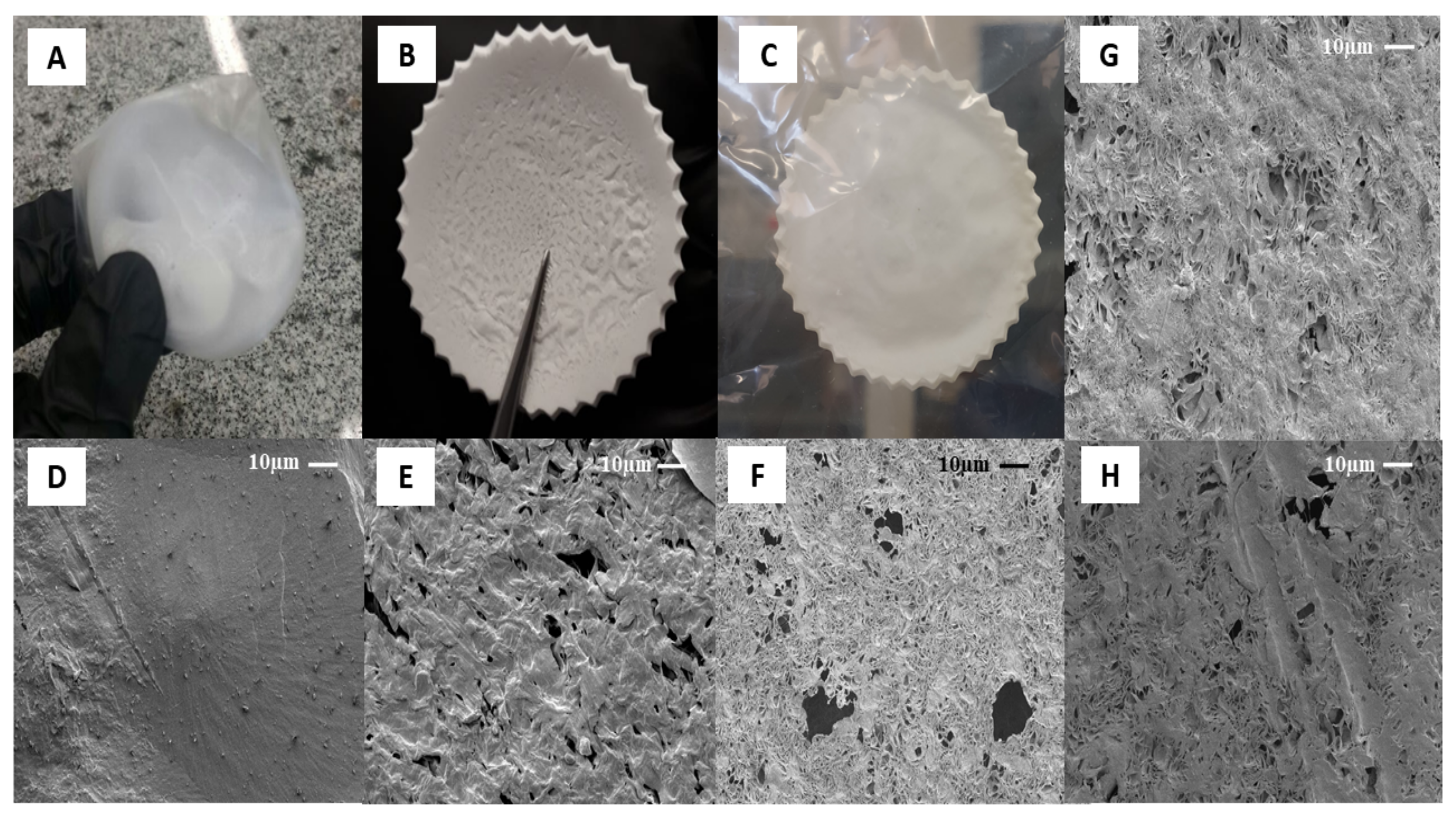 Polymers 13 01591 g002 Polymers 13 01591 g002