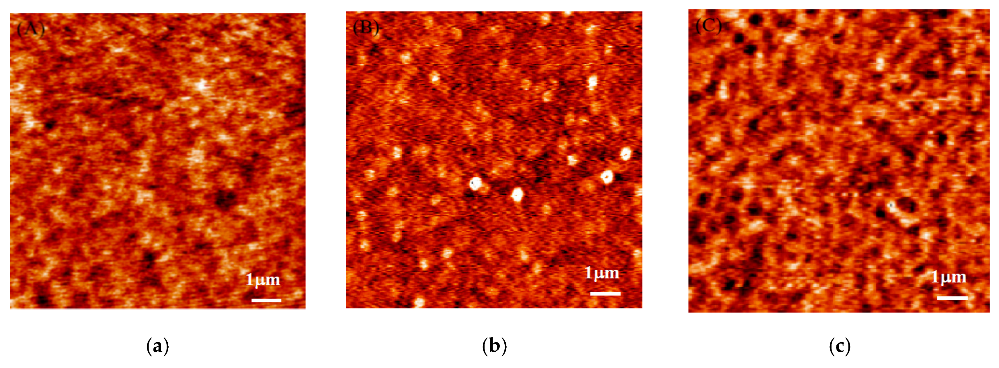 Polymers 13 01621 g006