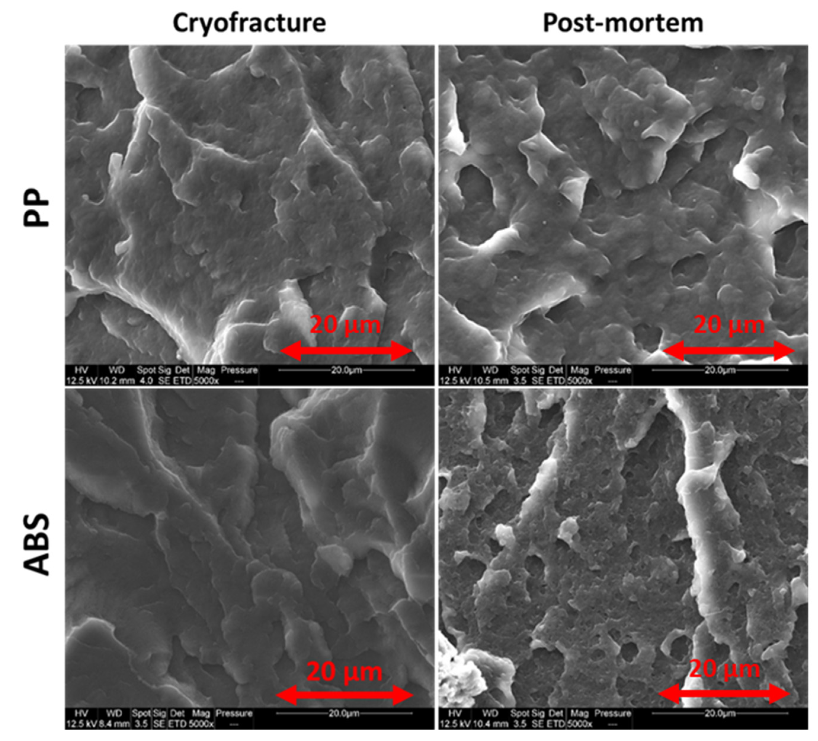 Polymers 13 01647 g011 Polymers 13 01647 g011