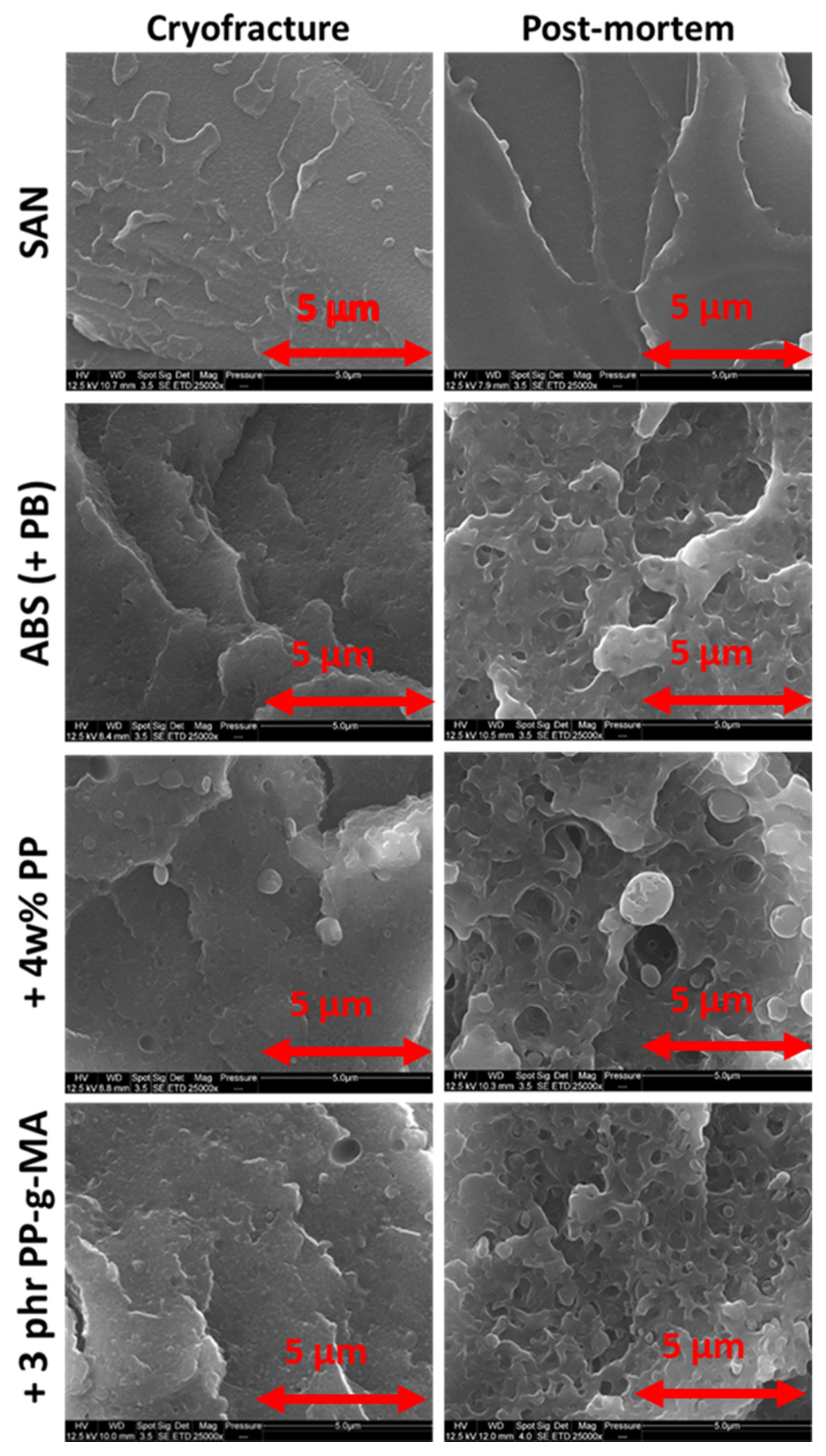 Polymers 13 01647 g013 Polymers 13 01647 g013