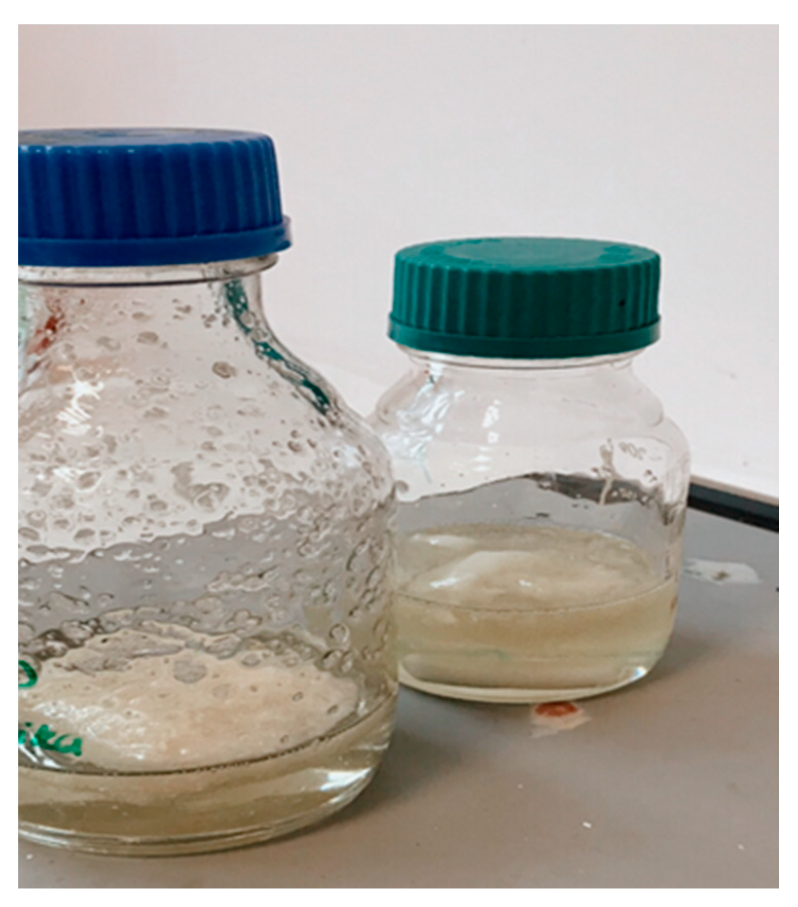 Polymers 13 01661 g001 Polymers 13 01661 g001