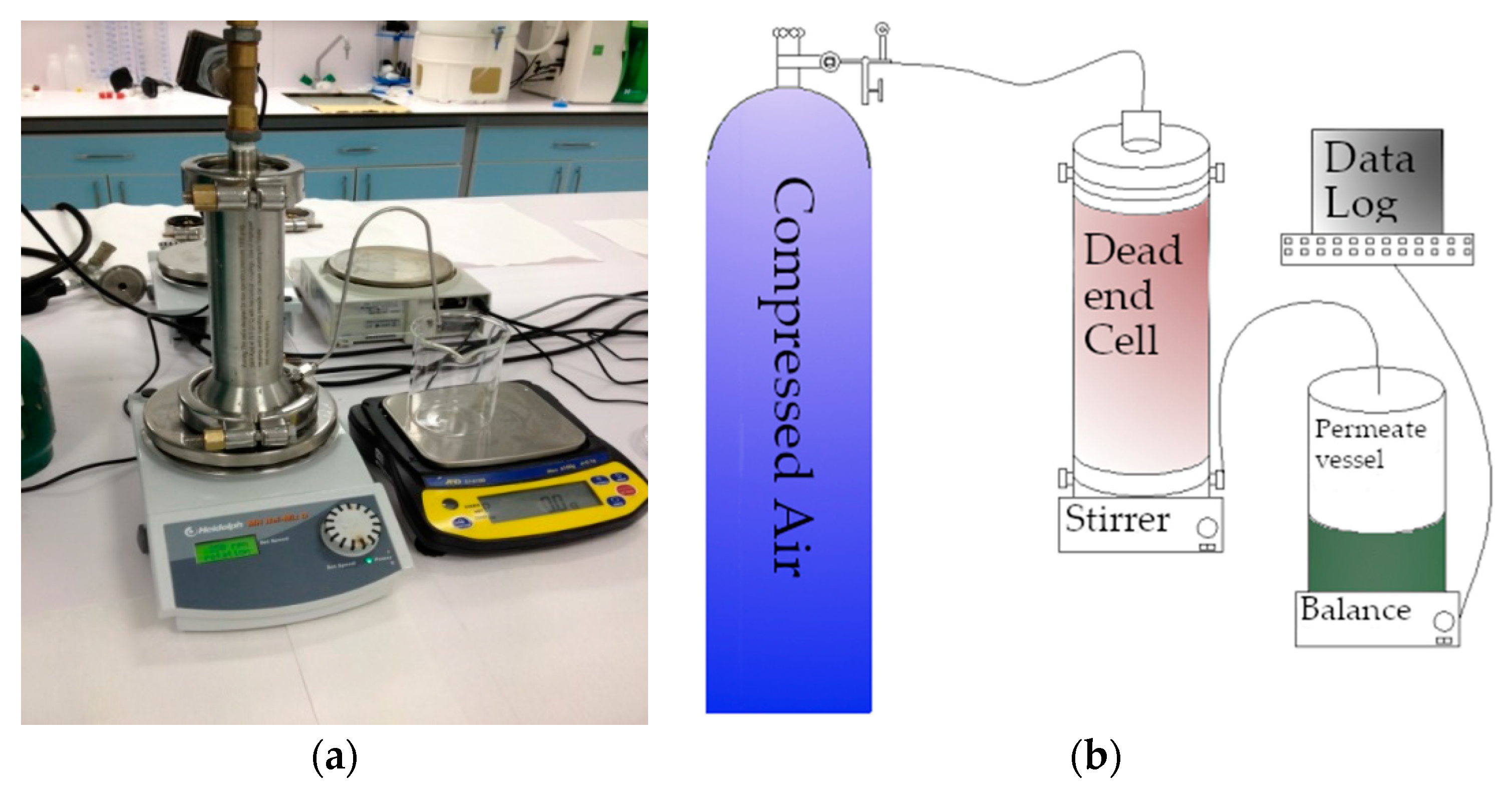 Polymers 13 01661 g003 Polymers 13 01661 g003