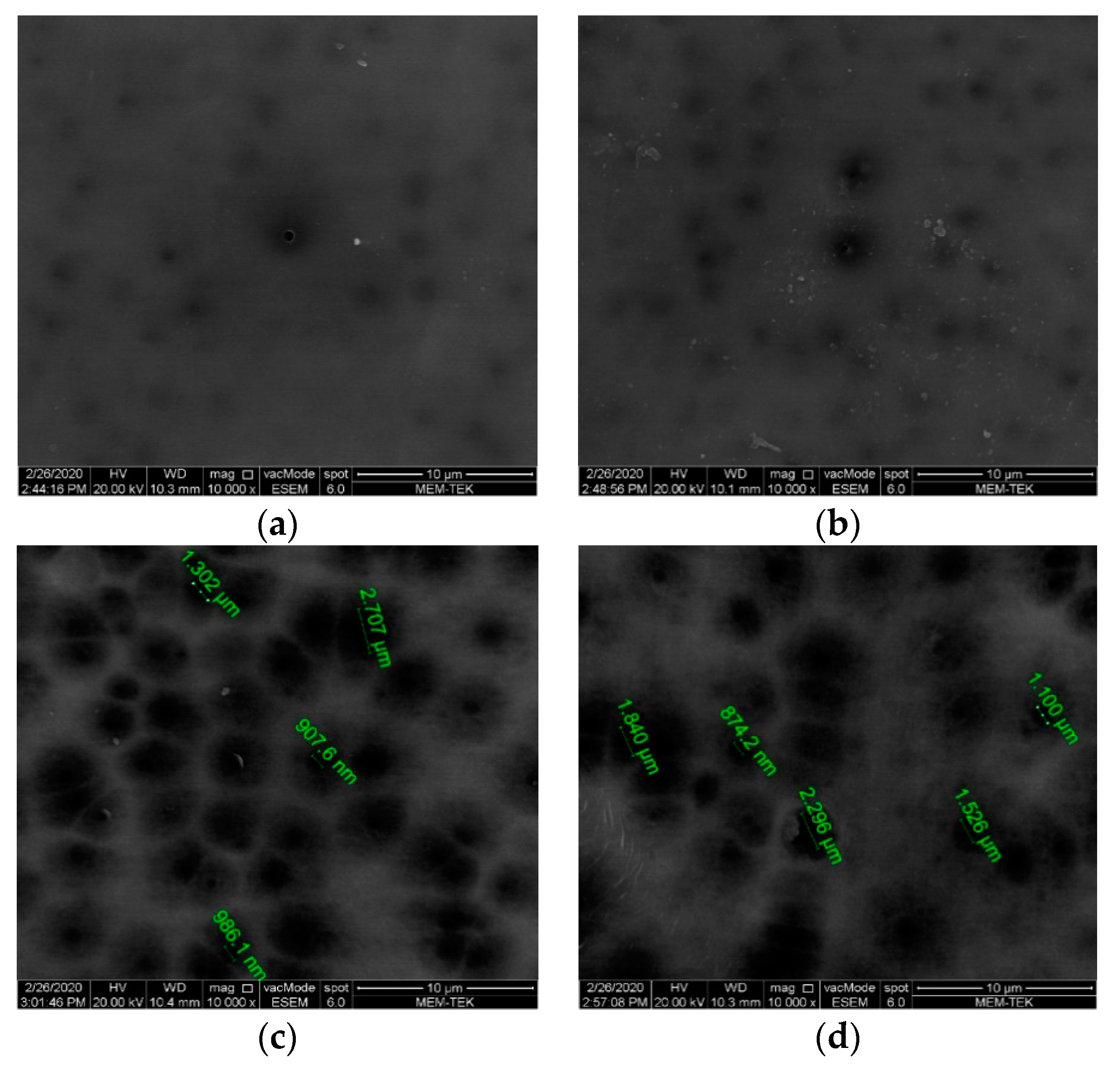 Polymers 13 01661 g006 Polymers 13 01661 g006
