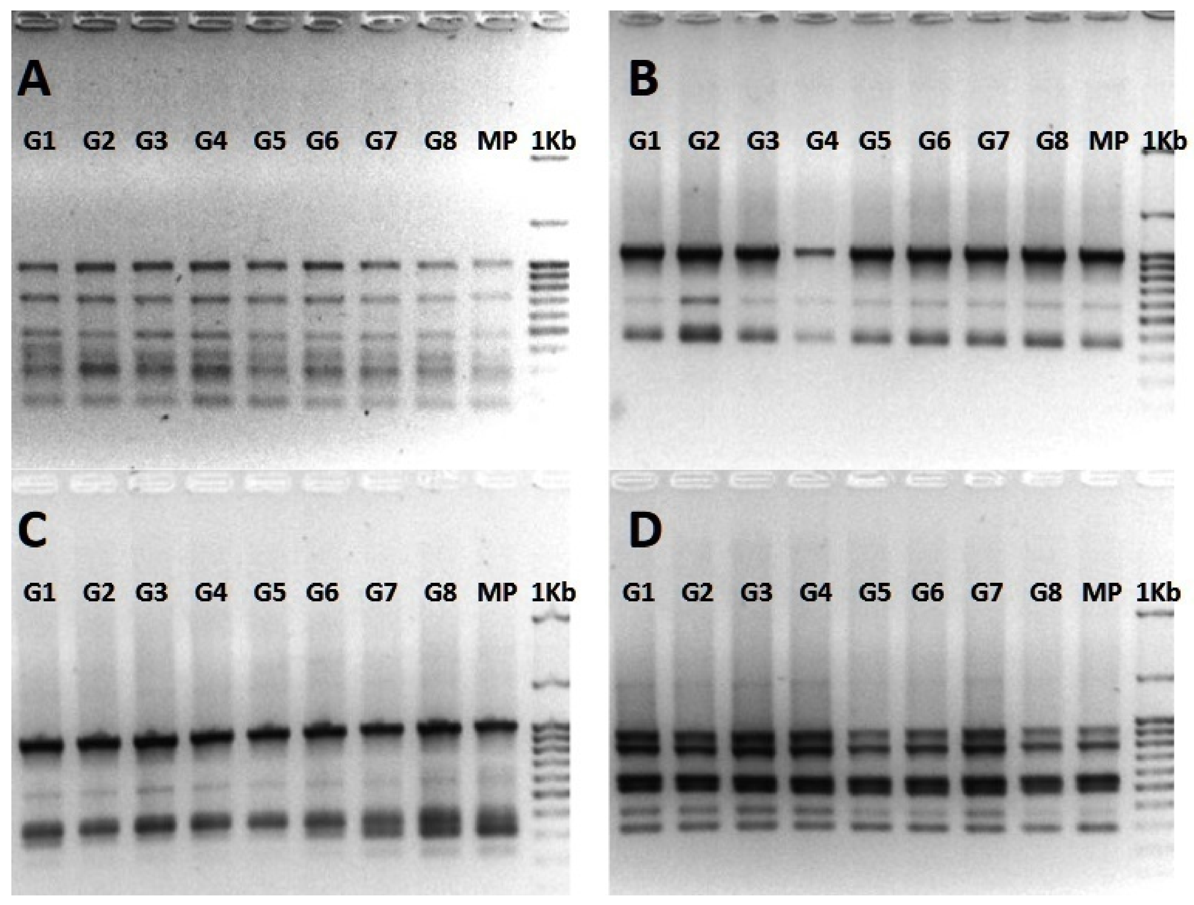 Polymers 13 01666 g005 Polymers 13 01666 g005