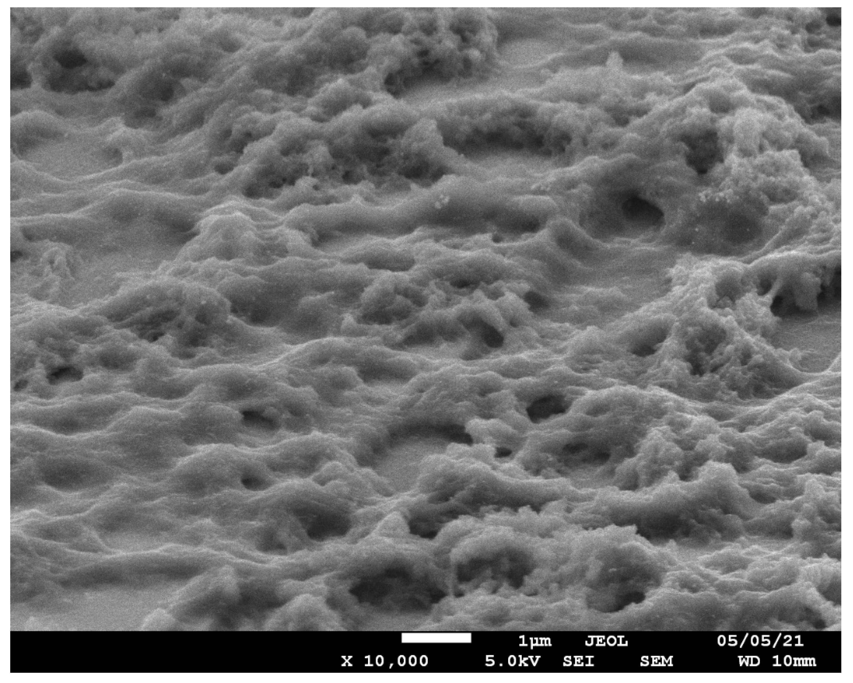 Polymers 13 01667 g009 Polymers 13 01667 g009