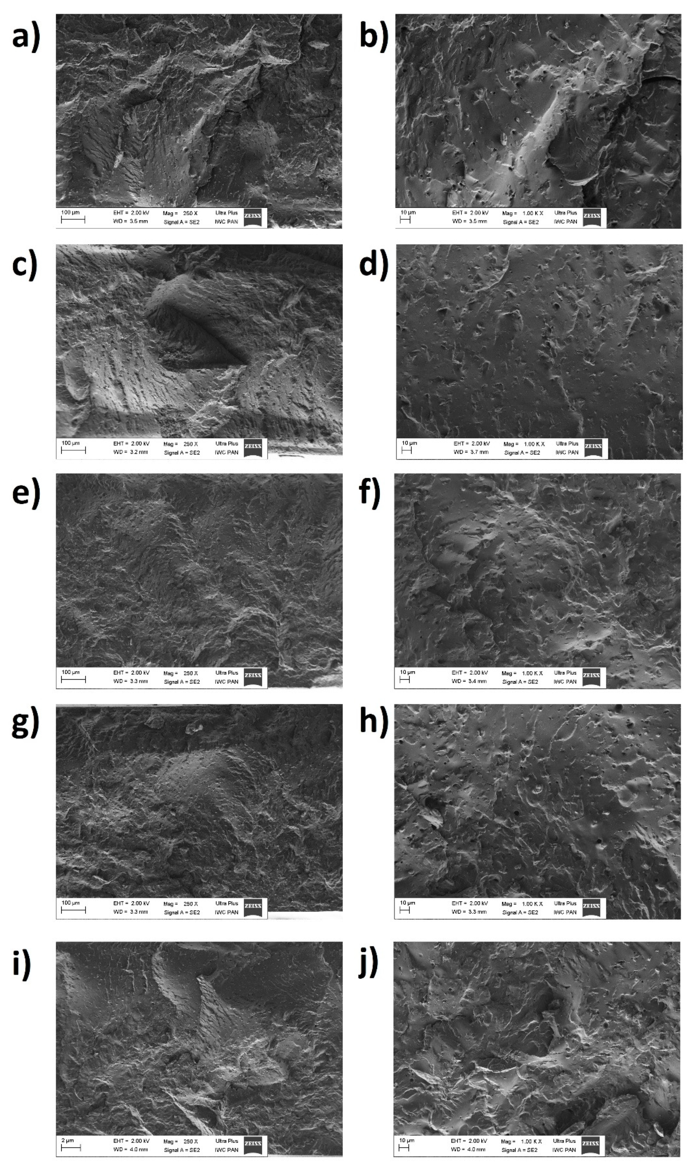 Polymers Free Full Text Biocomposites Of Epoxidized Natural Rubber Poly Lactic Acid Modified With Natural Substances Influence Of Biomolecules On The Aging Properties Part Ii Html