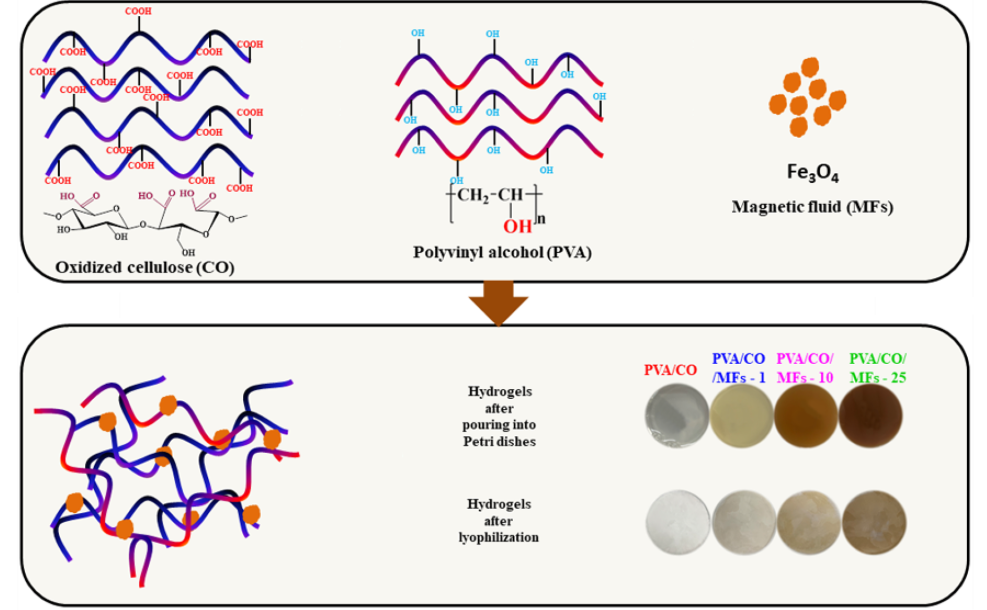 Polymers | Free Full-Text | Affordable Magnetic Hydrogels Prepared from  Biocompatible and Biodegradable Sources