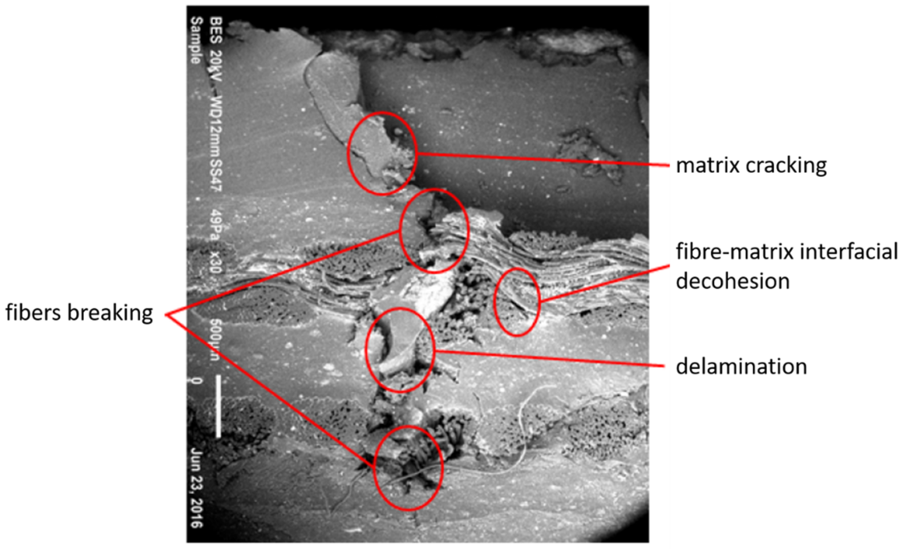 Polymers 13 01710 g002
