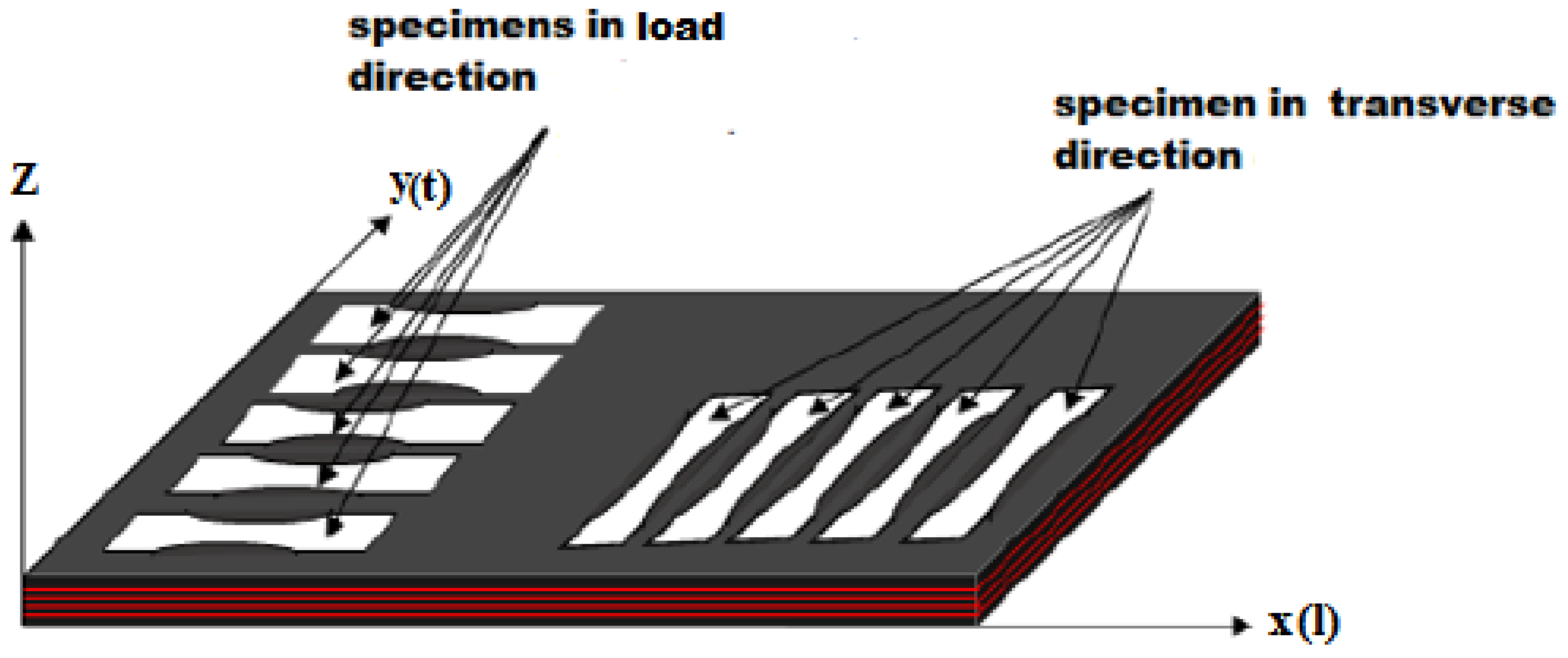 Polymers 13 01710 g003