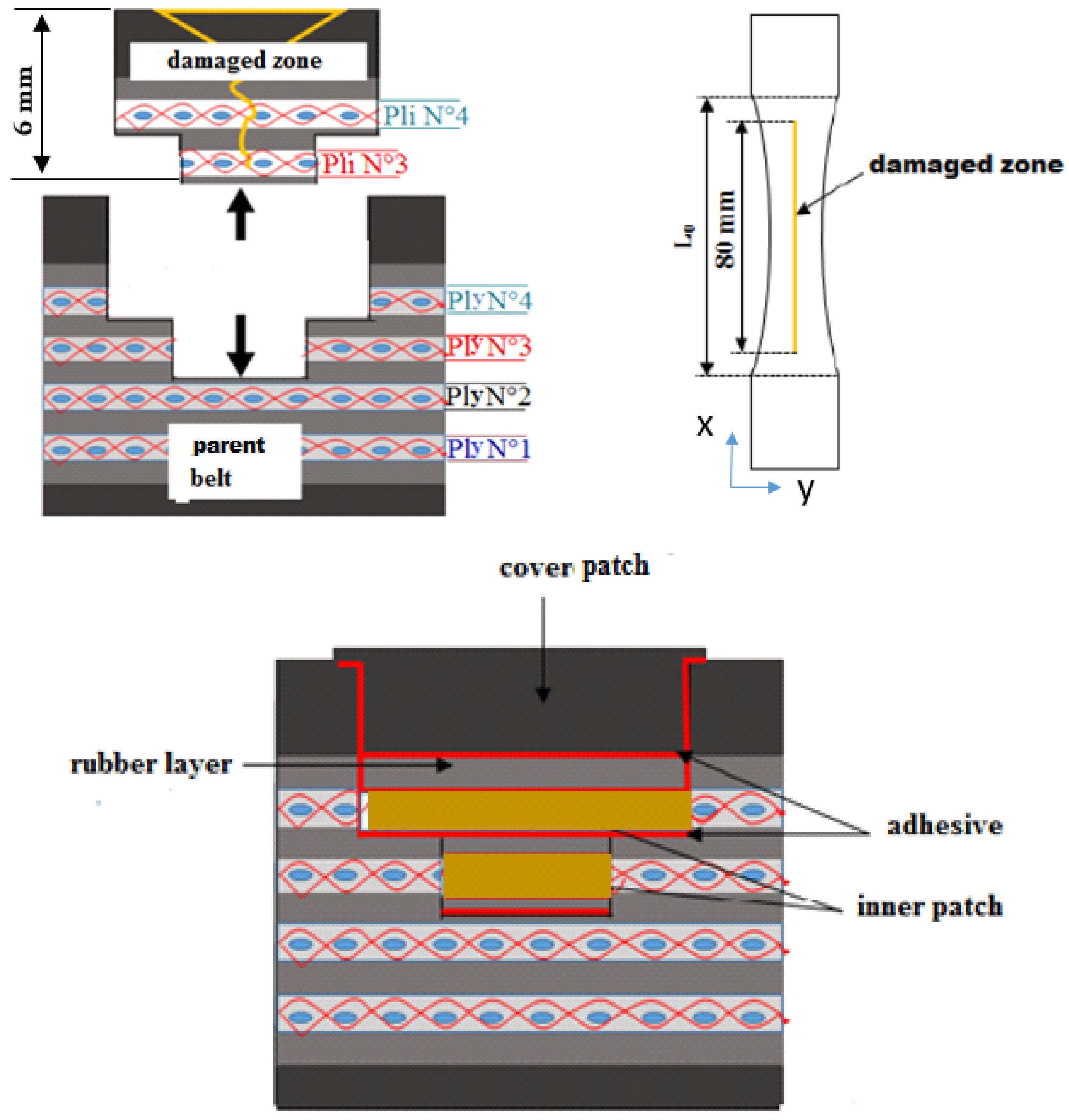 Polymers 13 01710 g005
